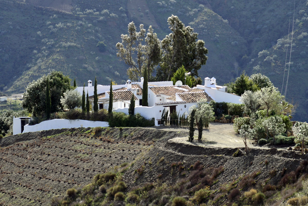 Cortijo Andaluz en Venta: Qué Valorar, Qué Evitar y Cómo Negociar en 2026