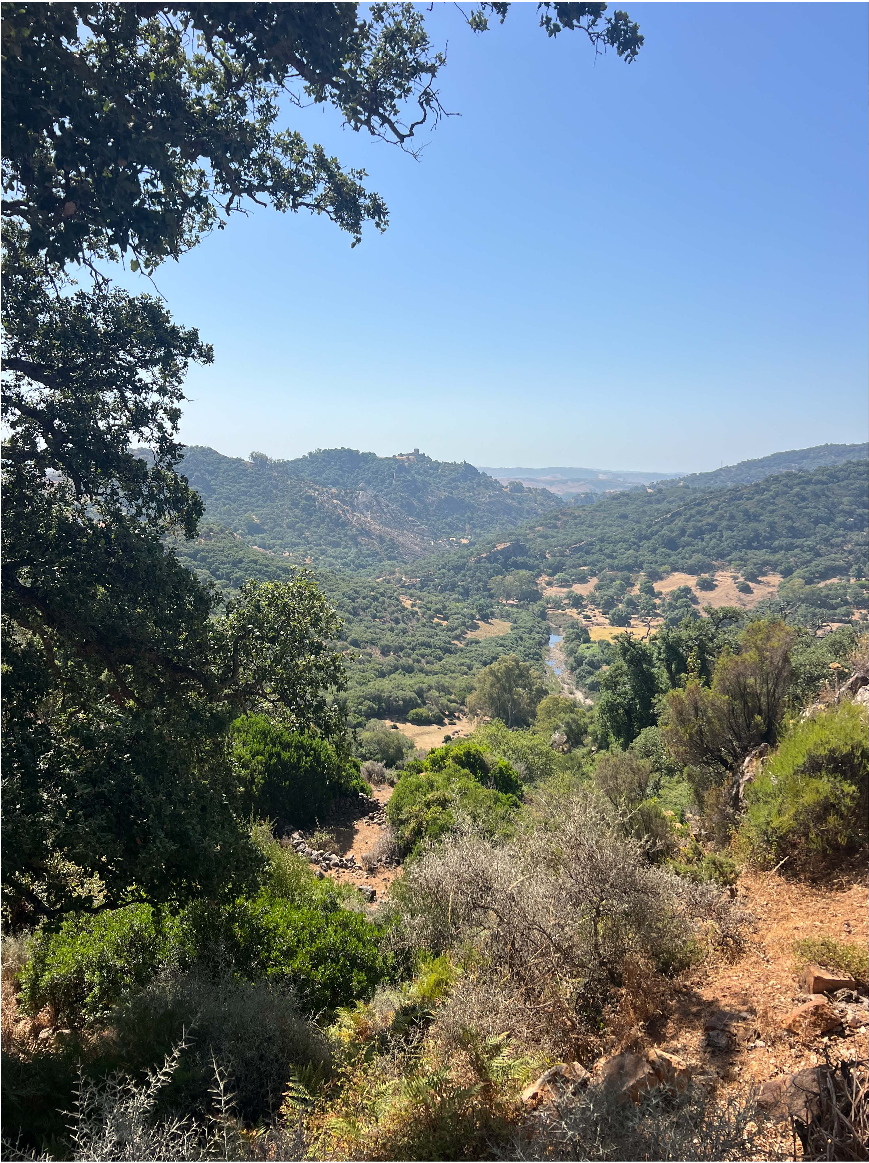 The Strategic Value of the Campo de Gibraltar for International Land Investment