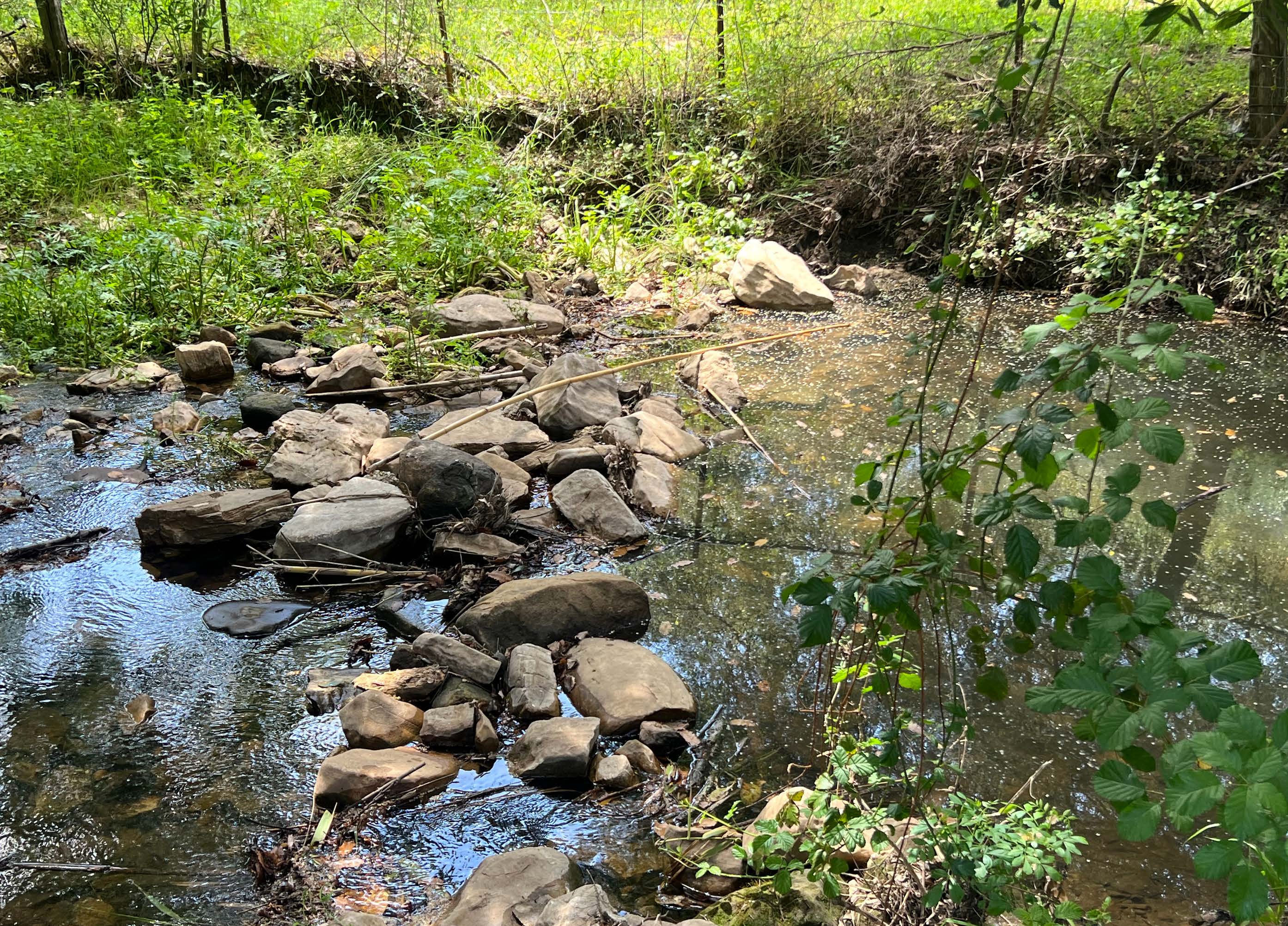 Exclusive Country House with Gardens and Pool in a Natural Setting near Marchenilla — photo 19 of 21