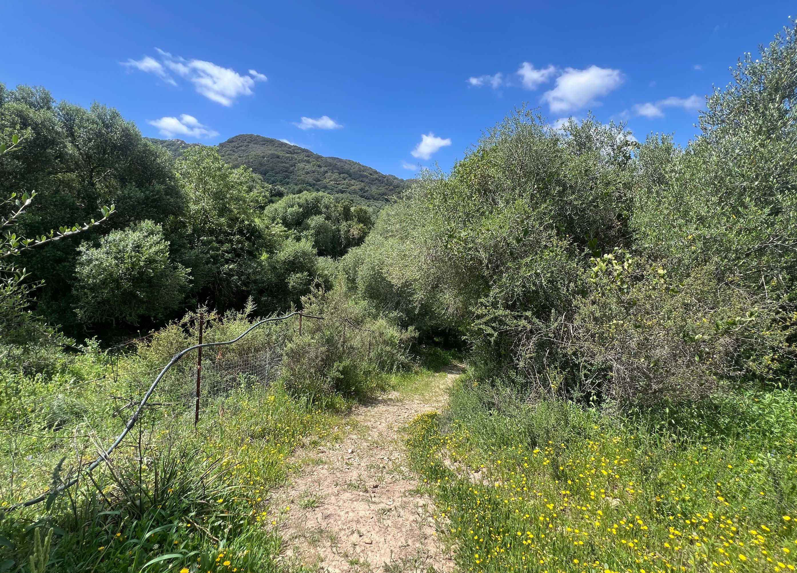 Exclusive Country House with Gardens and Pool in a Natural Setting near Marchenilla — photo 16 of 21