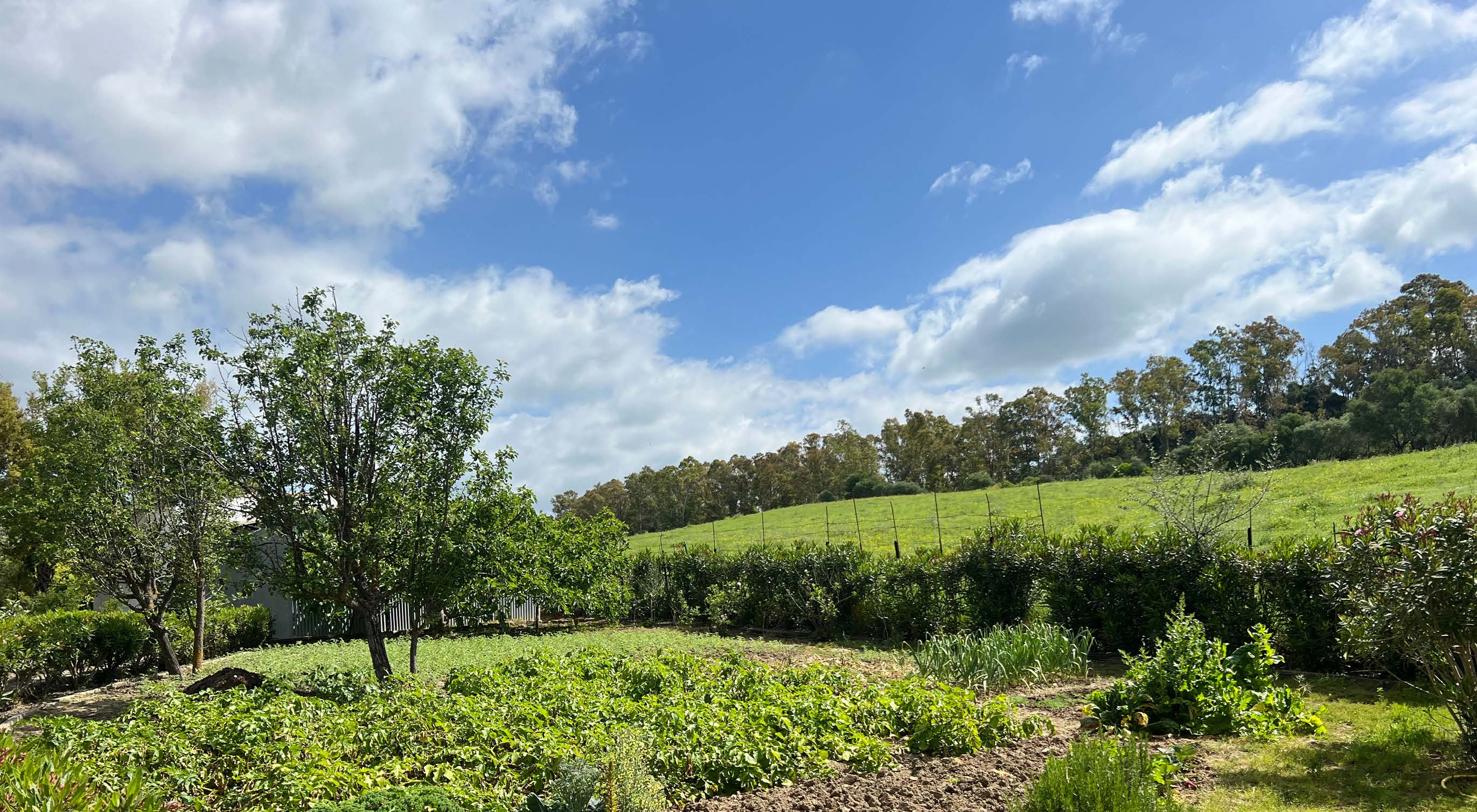 Exclusive Country House with Gardens and Pool in a Natural Setting near Marchenilla — Finca in Jimena de la Frontera, Cádiz