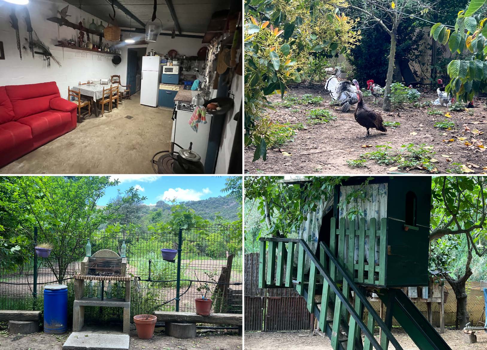 Exclusive Country House with Gardens and Pool in a Natural Setting near Marchenilla — photo 13 of 21