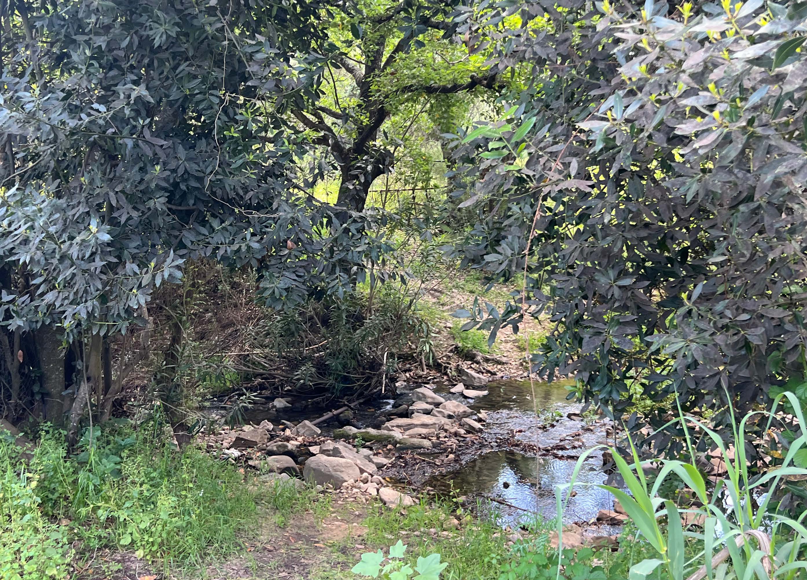 Exclusive Country House with Gardens and Pool in a Natural Setting near Marchenilla — photo 20 of 21