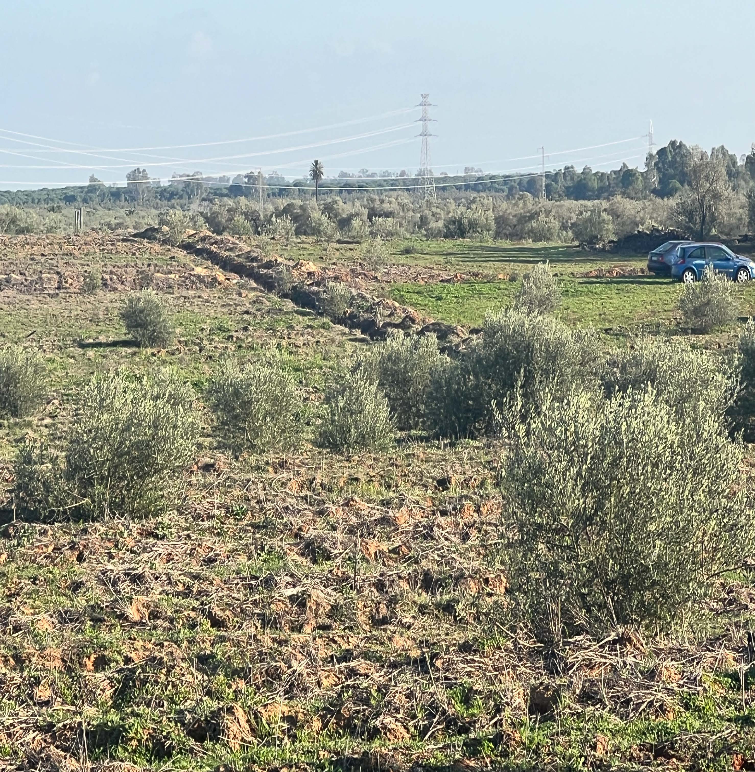 OLIVE GROVE ESTATE WATER RESOURCES & AGRICULTURAL POTENTIAL — photo 6 of 6