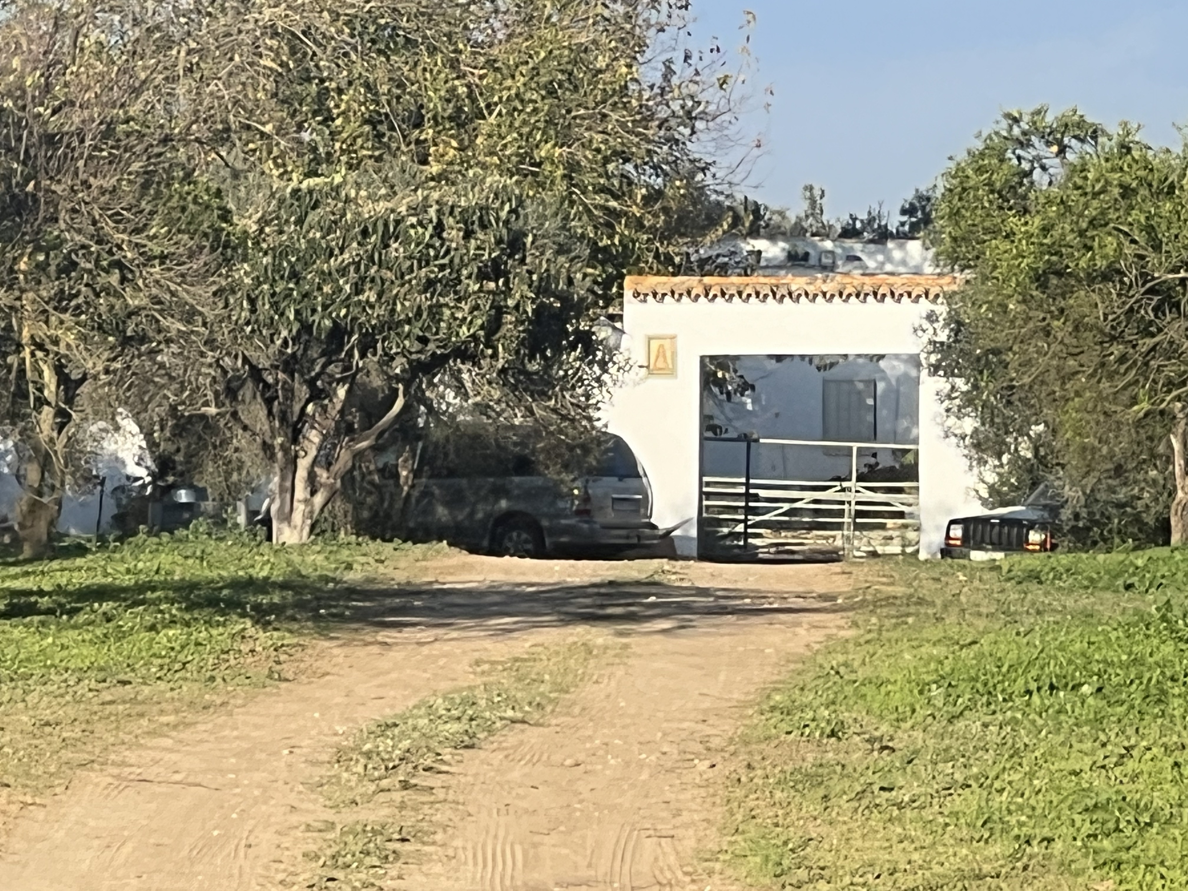 OLIVE GROVE ESTATE WATER RESOURCES & AGRICULTURAL POTENTIAL