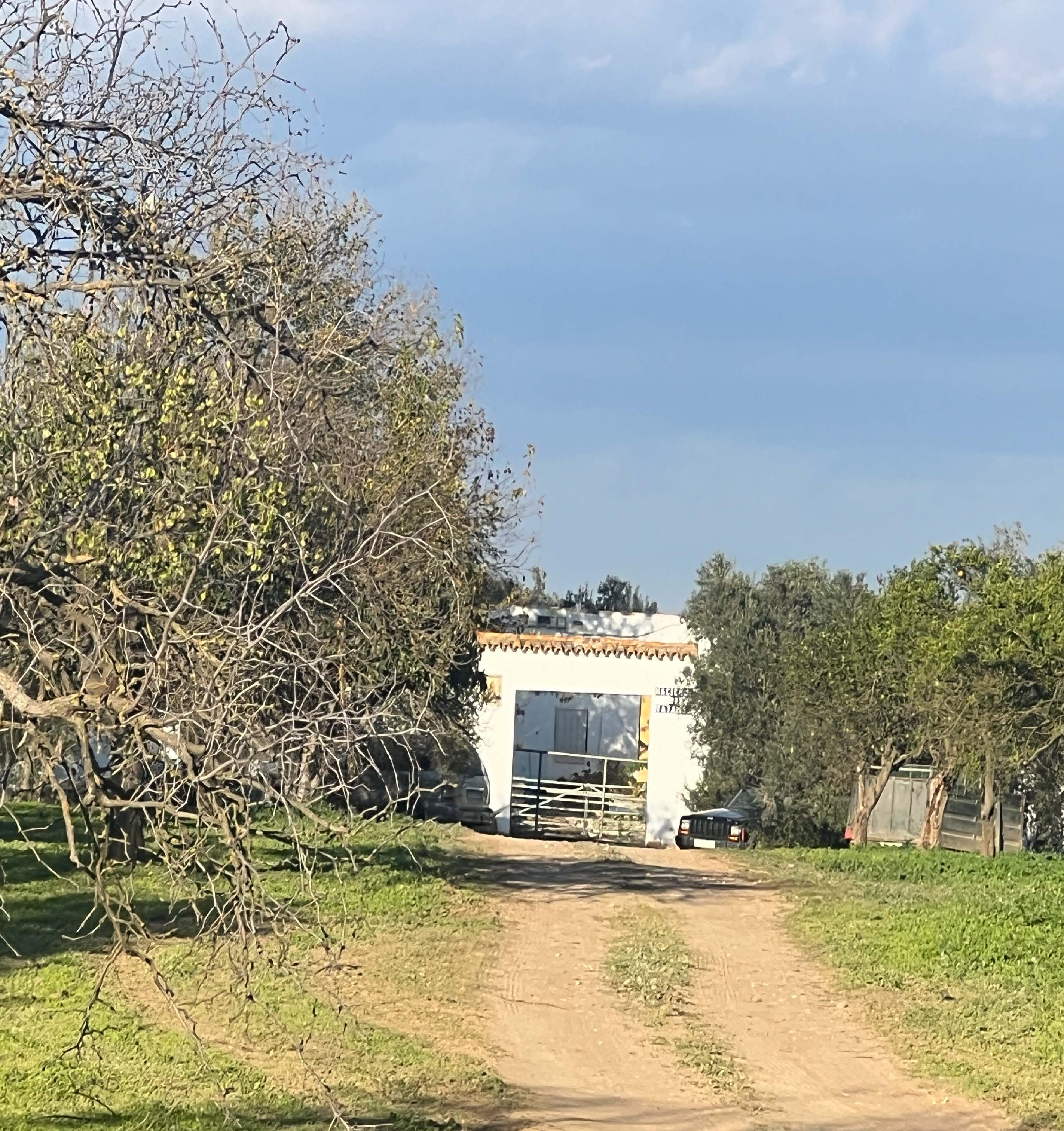 OLIVE GROVE ESTATE WATER RESOURCES & AGRICULTURAL POTENTIAL — photo 5 of 6