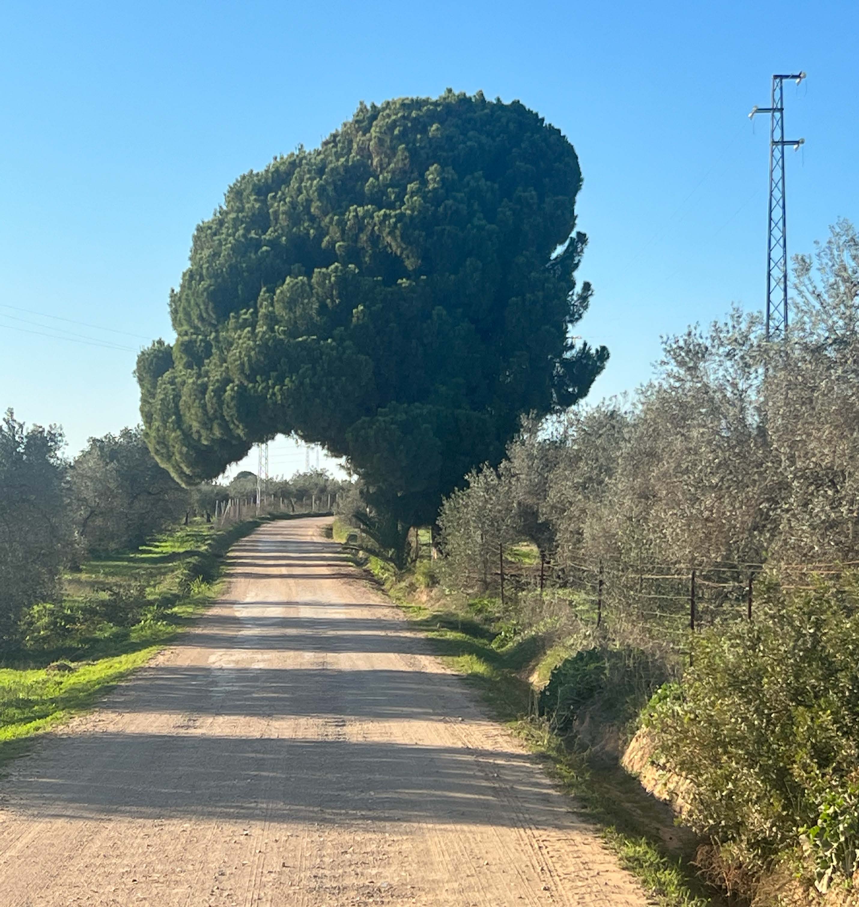 OLIVE GROVE ESTATE WATER RESOURCES & AGRICULTURAL POTENTIAL — photo 2 of 6