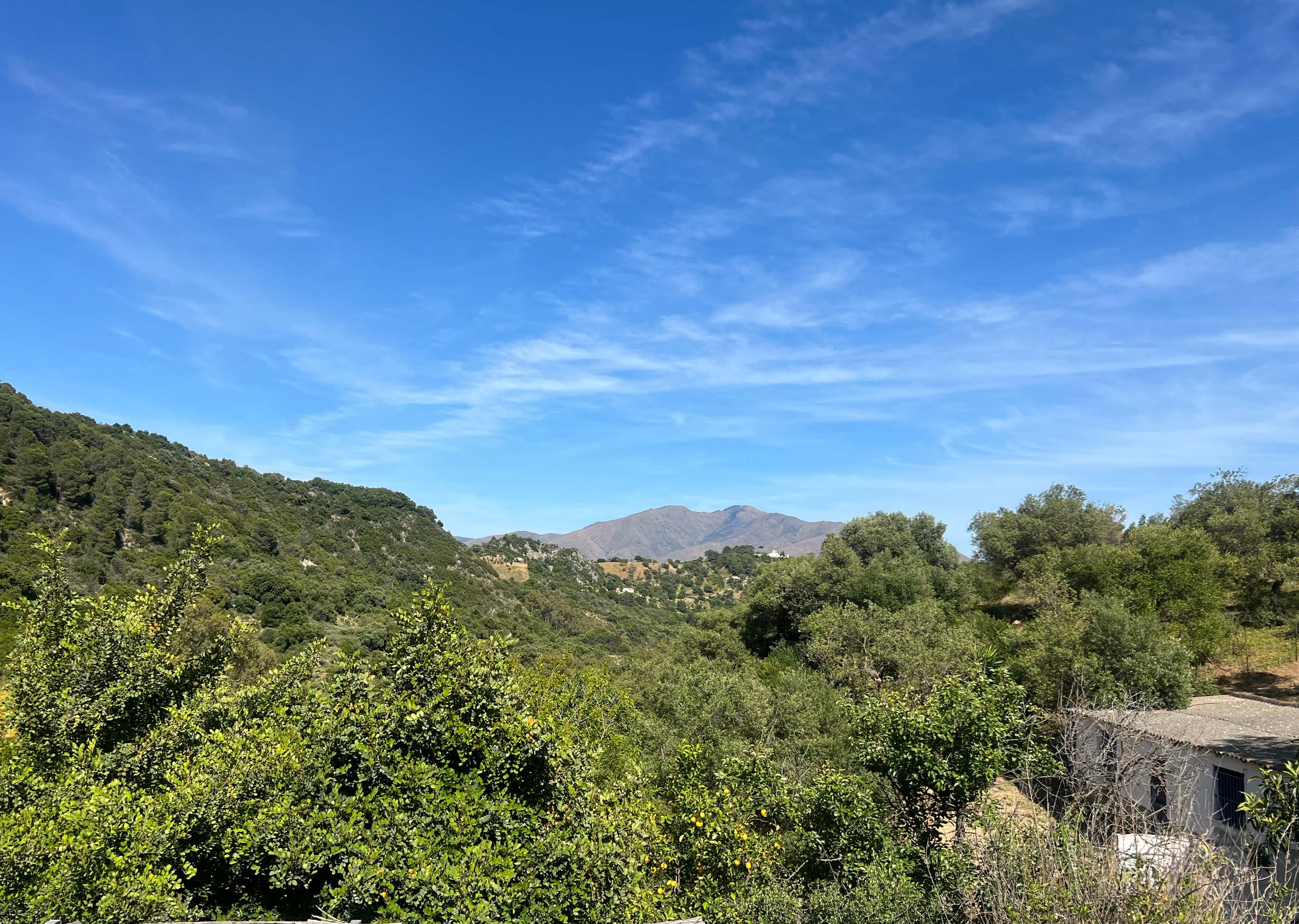 COUNTRY CORTIJOIN GAUCIN — photo 6 of 18