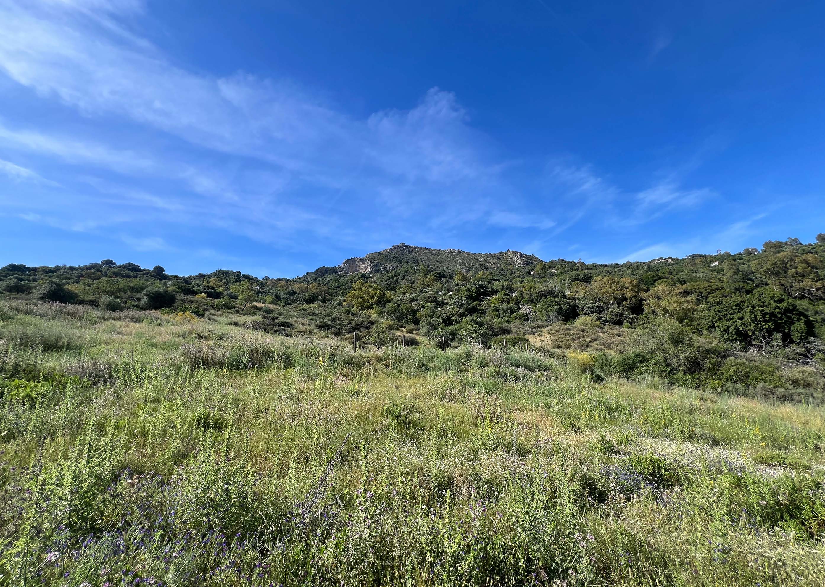 COUNTRY CORTIJOIN GAUCIN — photo 14 of 18