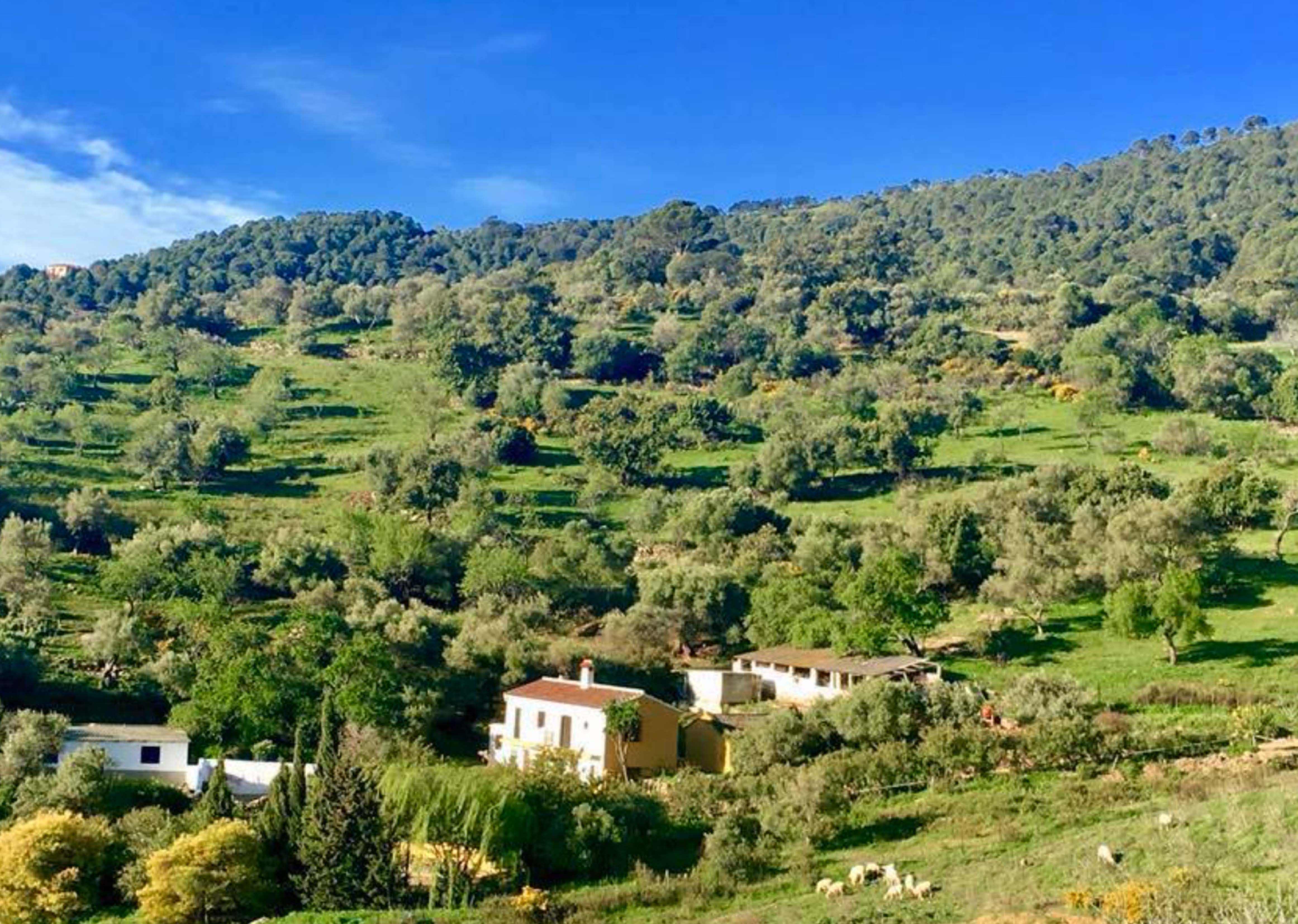 COUNTRY CORTIJOIN GAUCIN