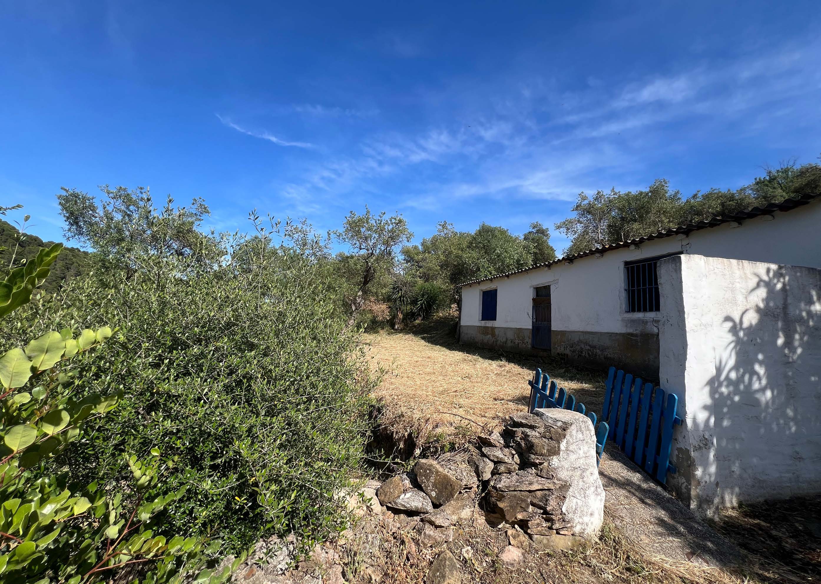 COUNTRY CORTIJOIN GAUCIN — photo 17 of 18