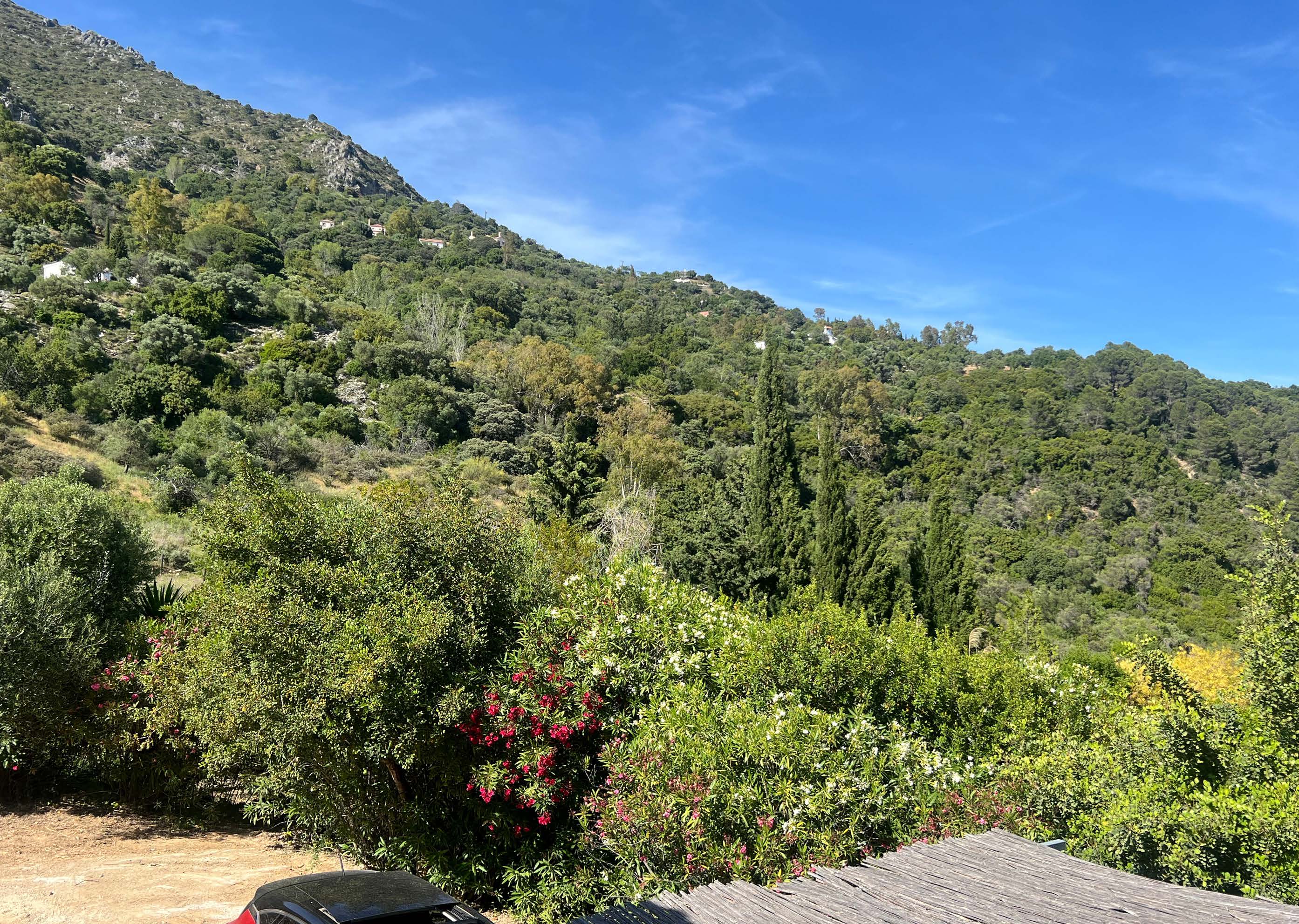 COUNTRY CORTIJOIN GAUCIN — photo 7 of 18