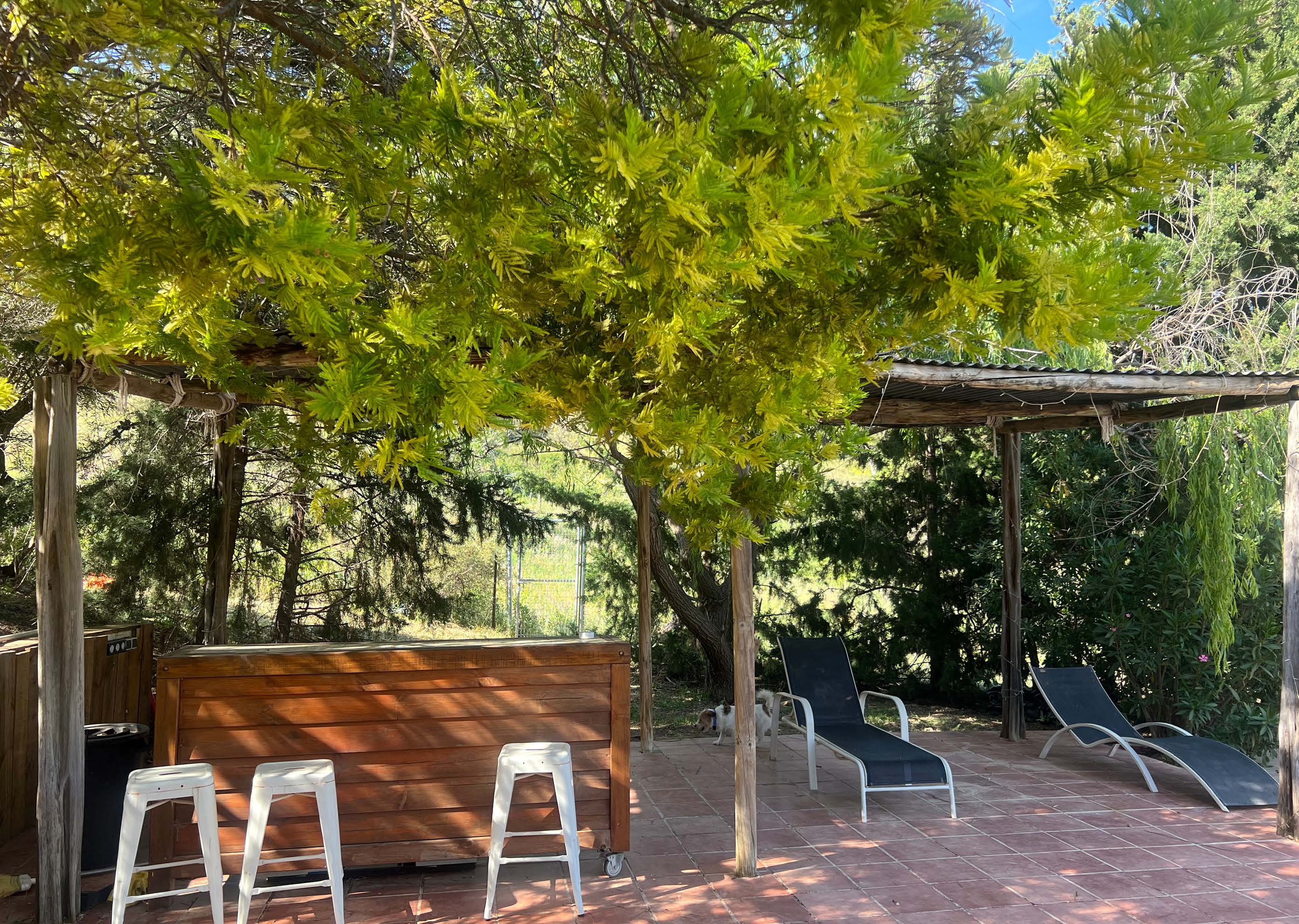 COUNTRY CORTIJOIN GAUCIN — photo 12 of 18