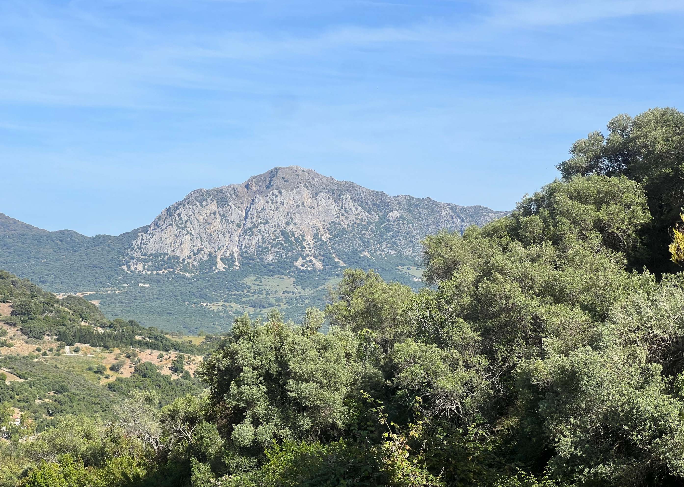 COUNTRY CORTIJOIN GAUCIN — photo 15 of 18