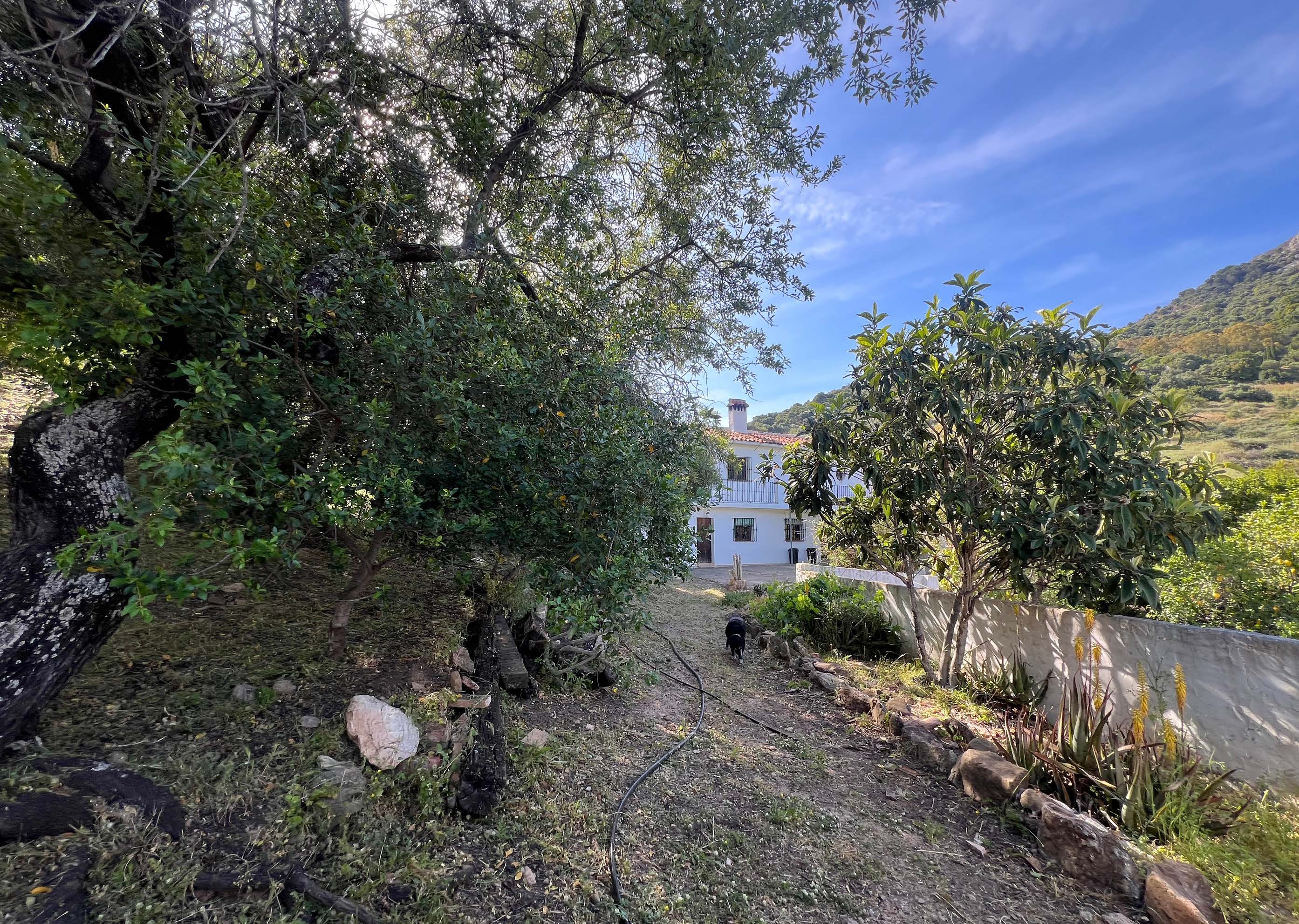 COUNTRY CORTIJOIN GAUCIN — photo 18 of 18