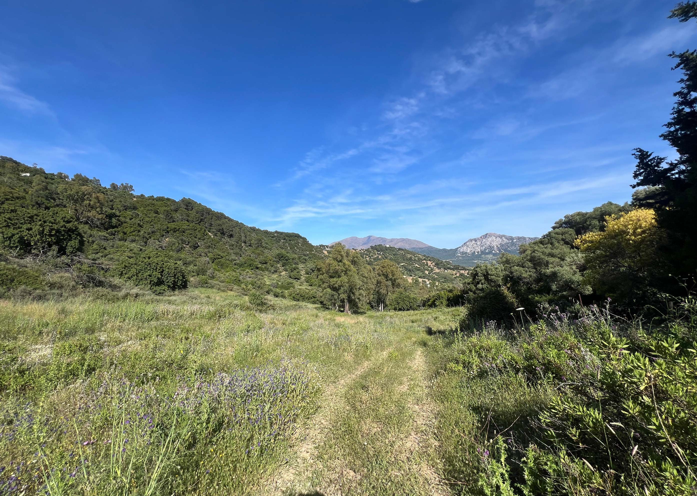 COUNTRY CORTIJOIN GAUCIN — photo 13 of 18