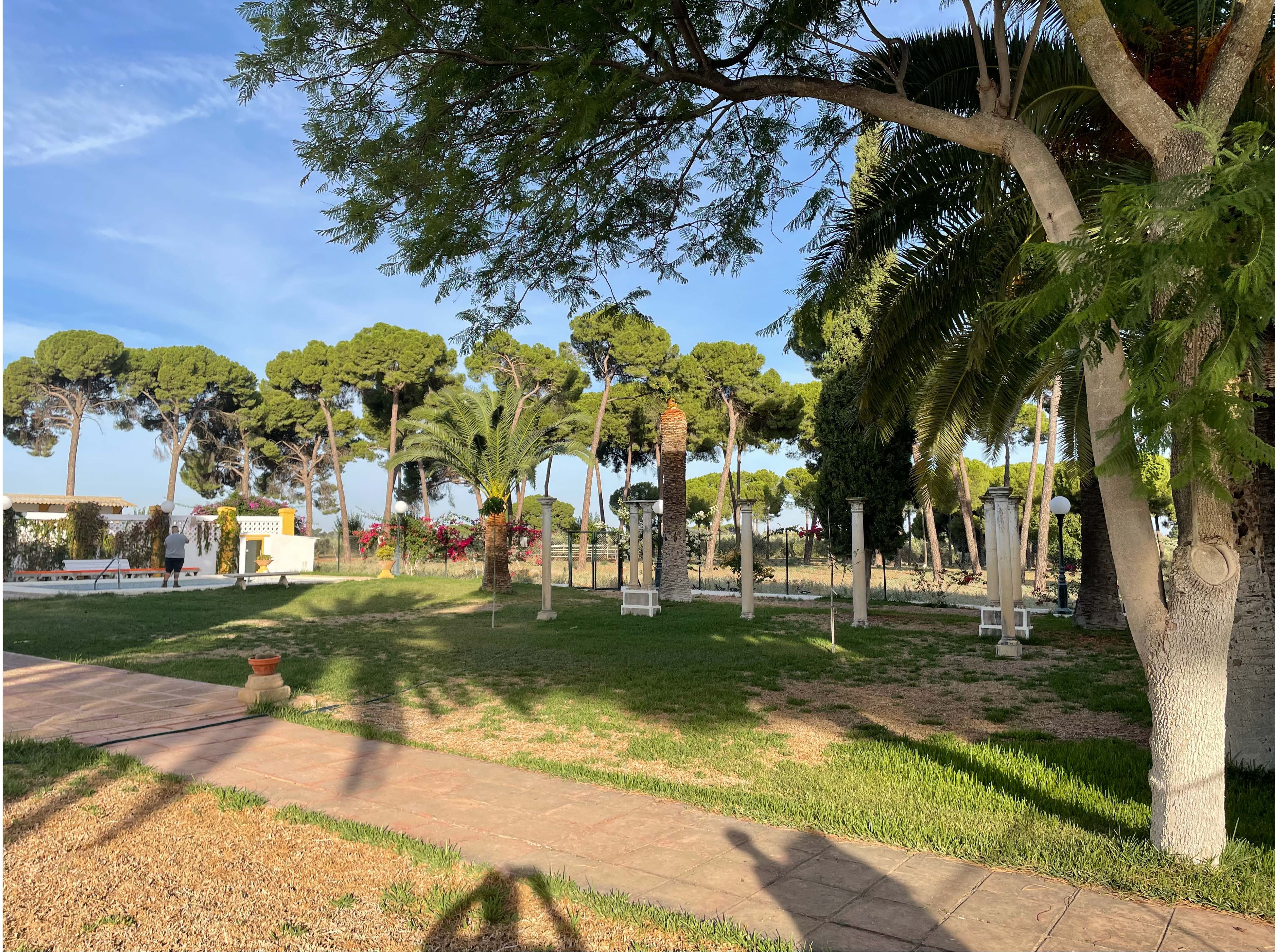 Beautiful traditional Andalusian estate. — photo 7 of 10