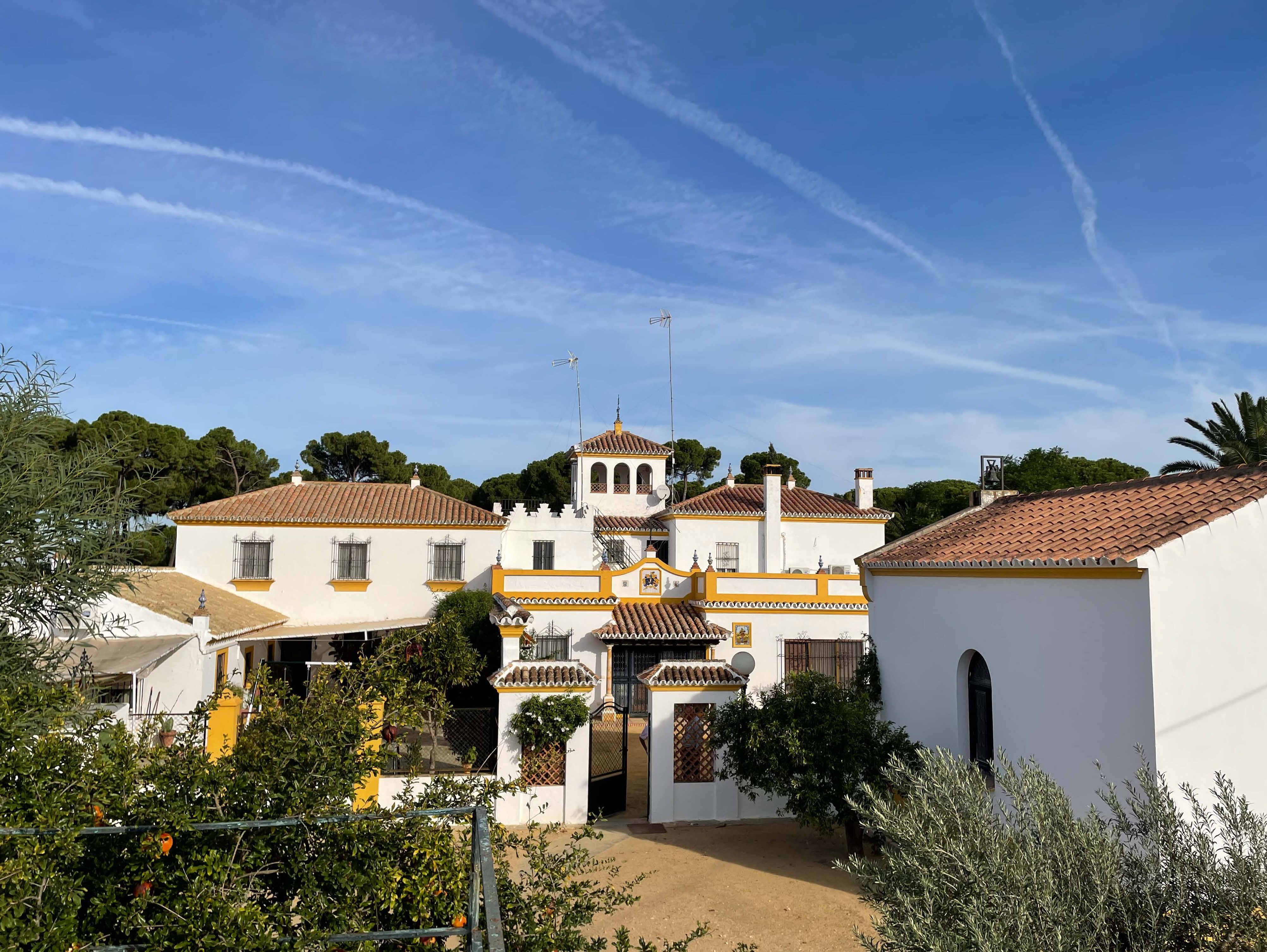 Beautiful traditional Andalusian estate. — photo 10 of 10