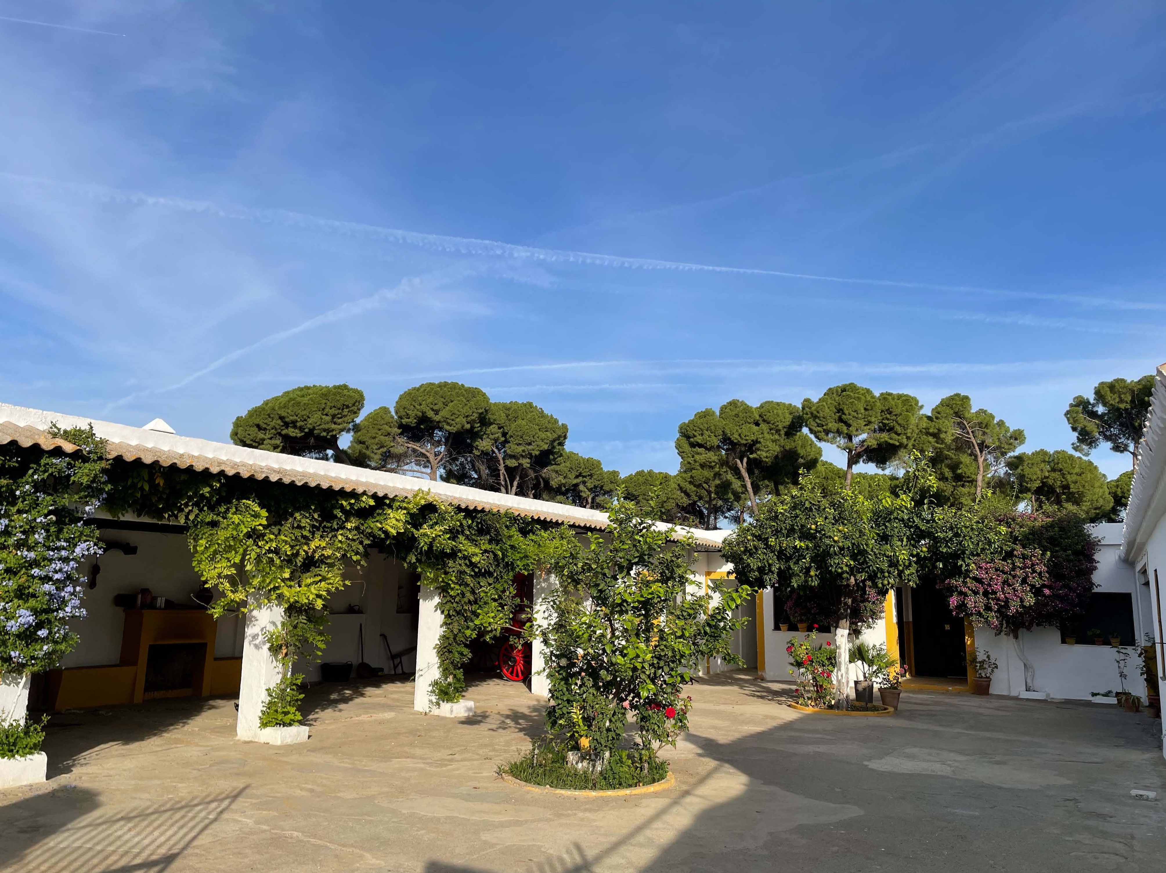 Beautiful traditional Andalusian estate. — photo 8 of 10