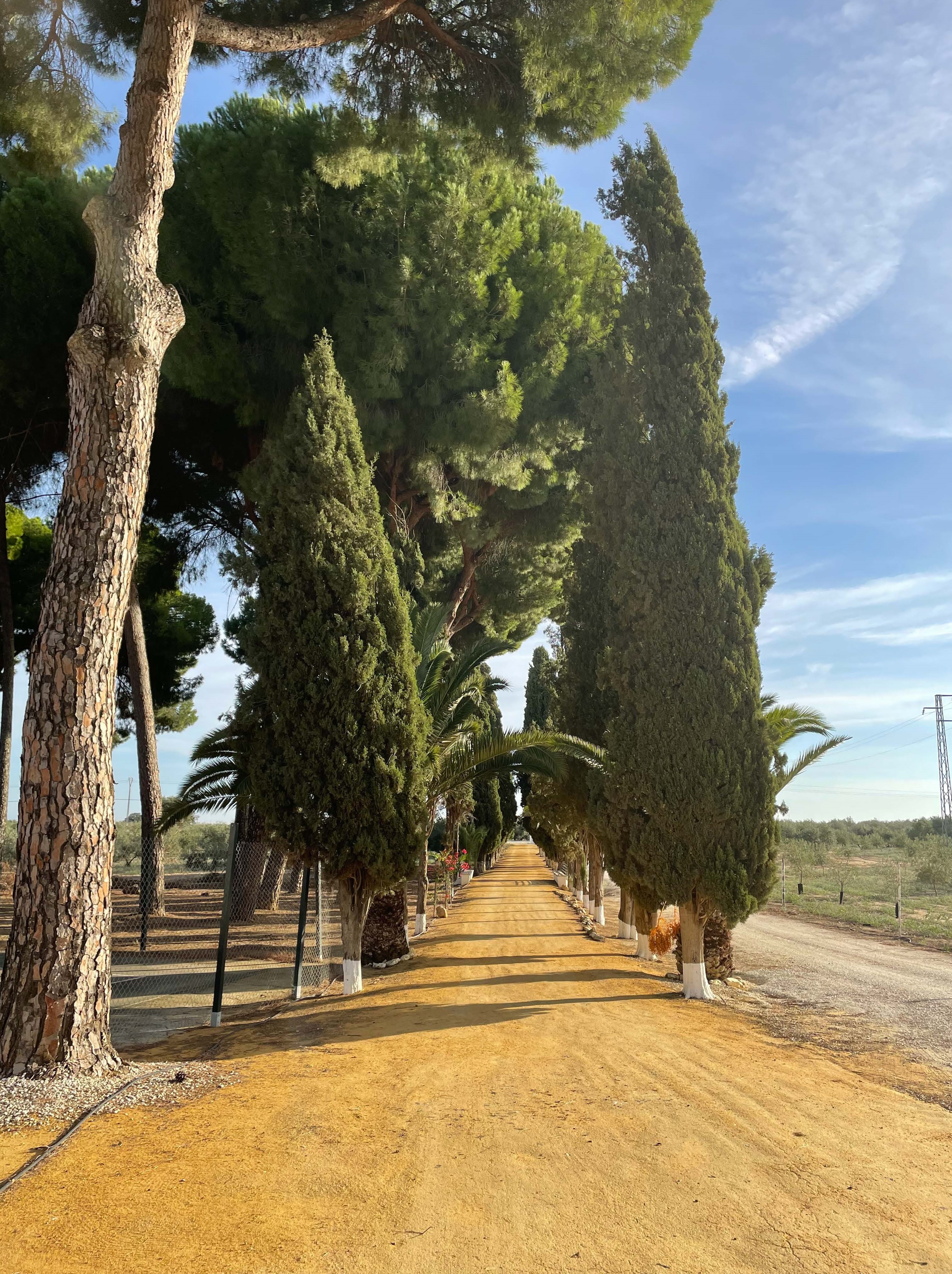 Beautiful traditional Andalusian estate. — photo 2 of 10