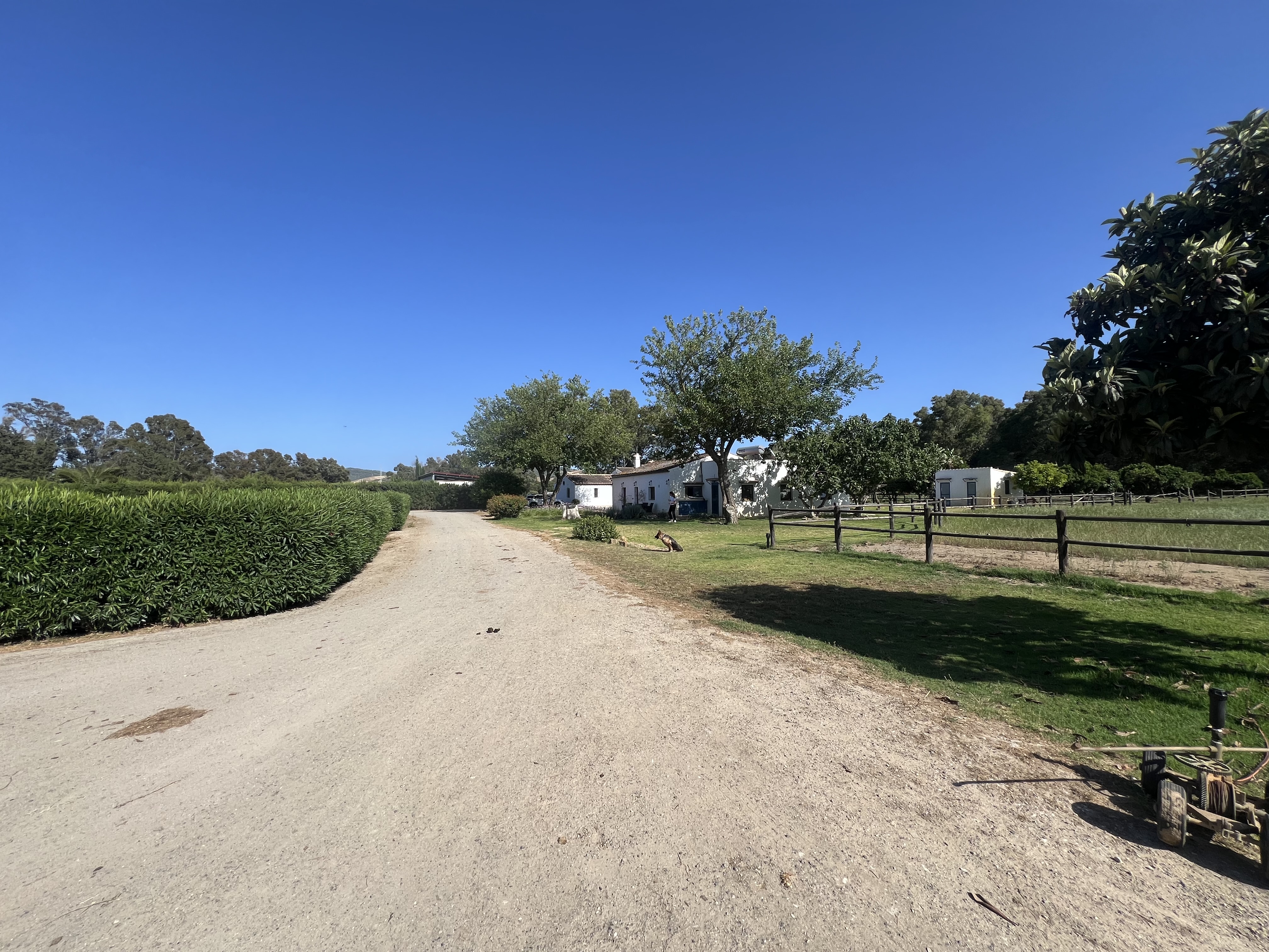Magnificent equestrian estate with polo field. — photo 3 of 17