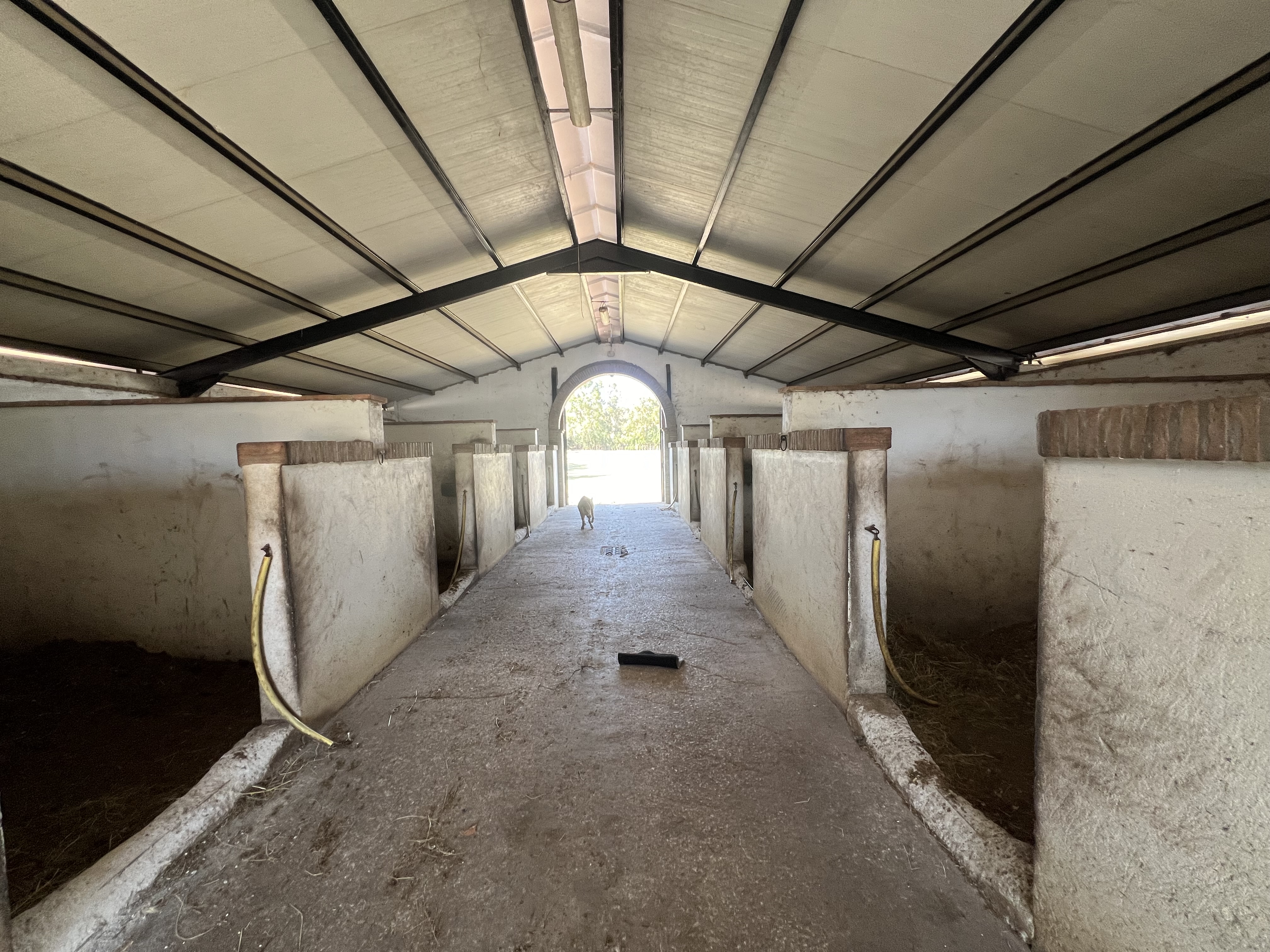 Magnificent equestrian estate with polo field. — photo 6 of 17