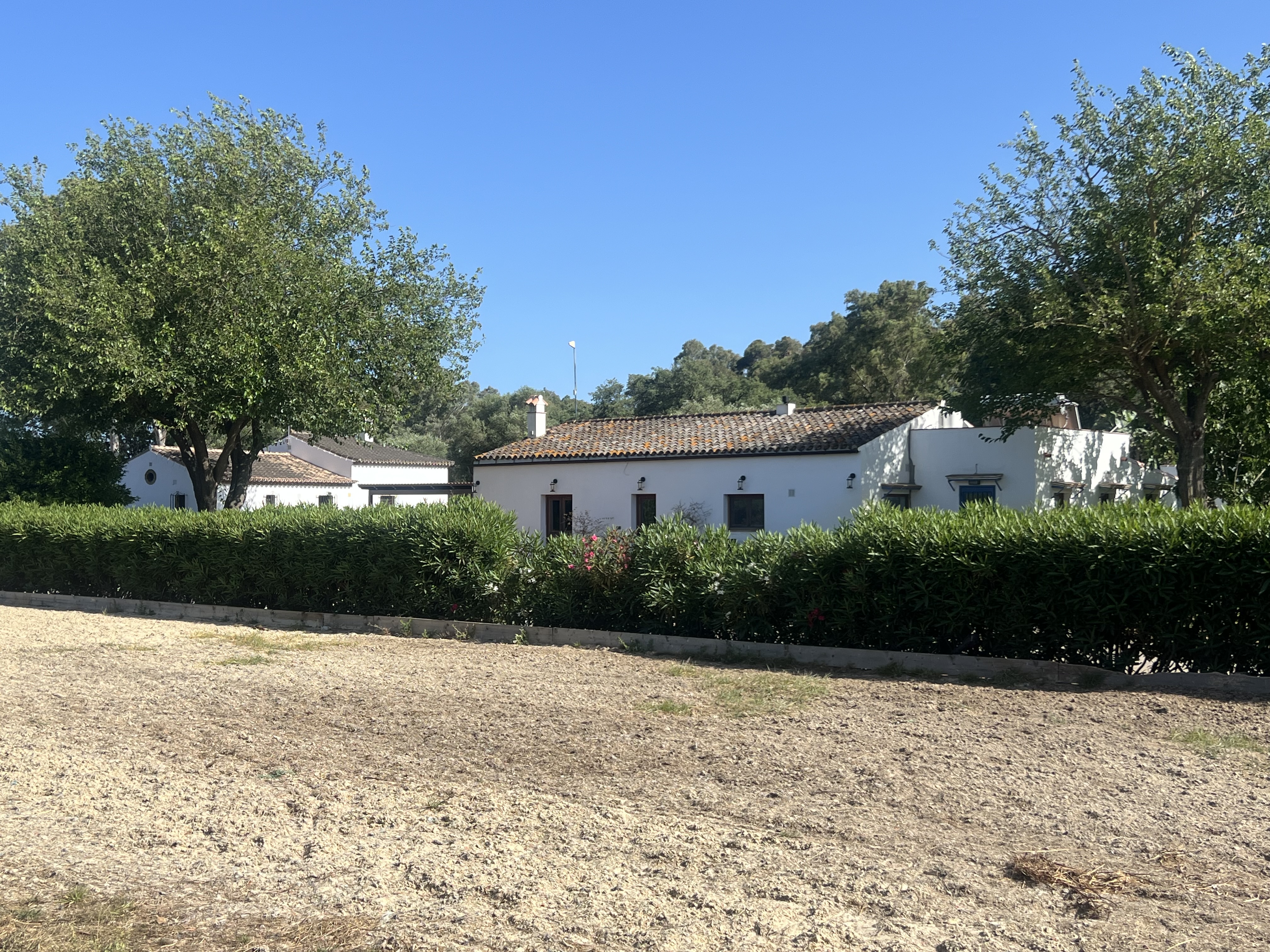 Magnificent equestrian estate with polo field. — photo 15 of 17