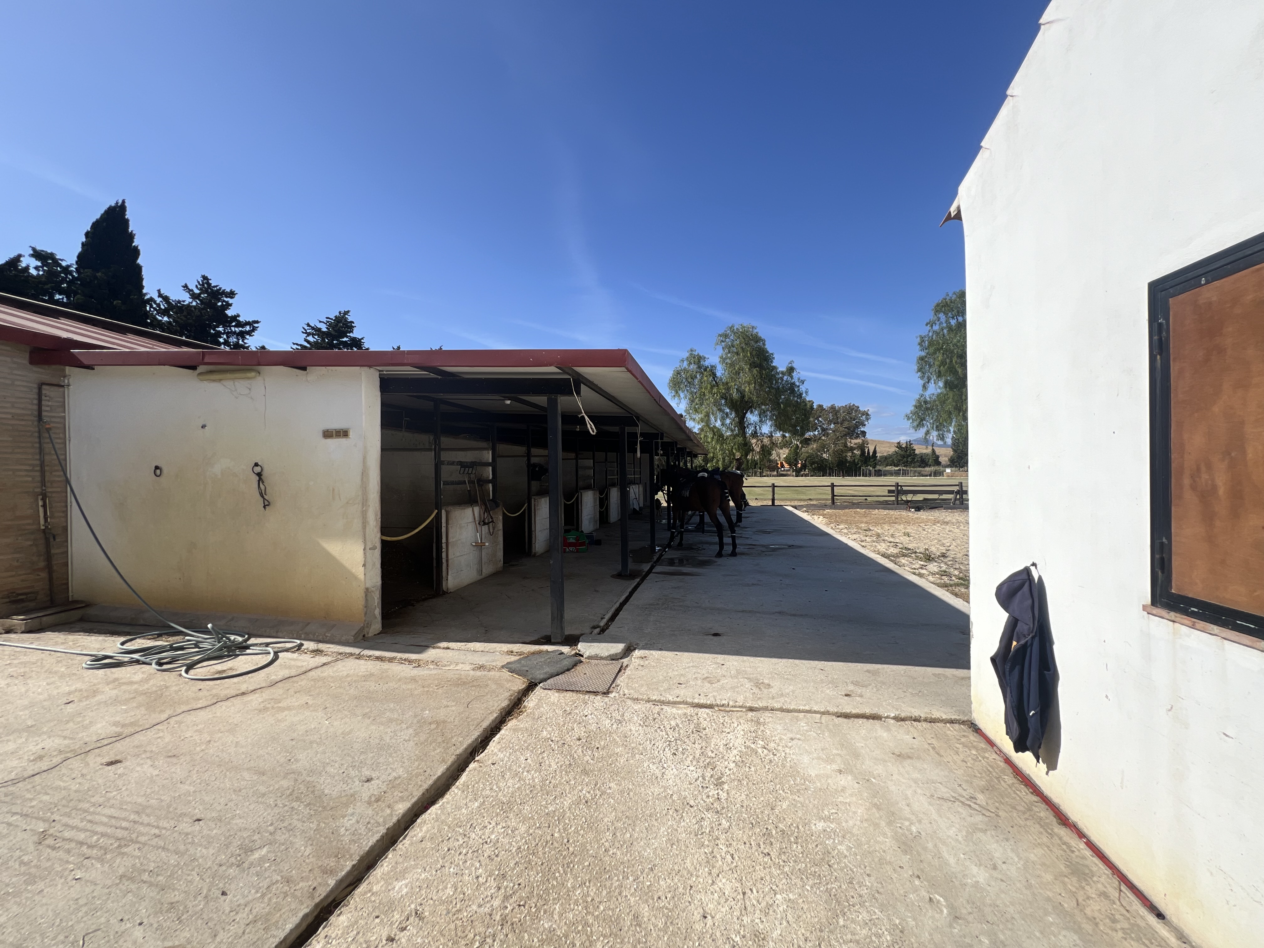 Magnificent equestrian estate with polo field. — photo 11 of 17