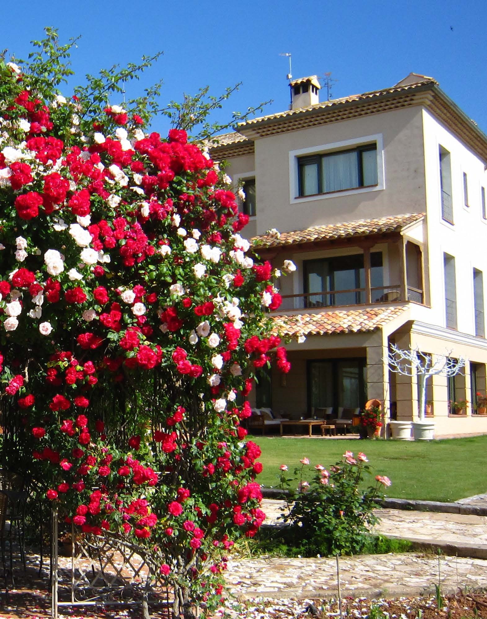 LUXURY RESIDENCE - CUENCA — photo 3 of 6