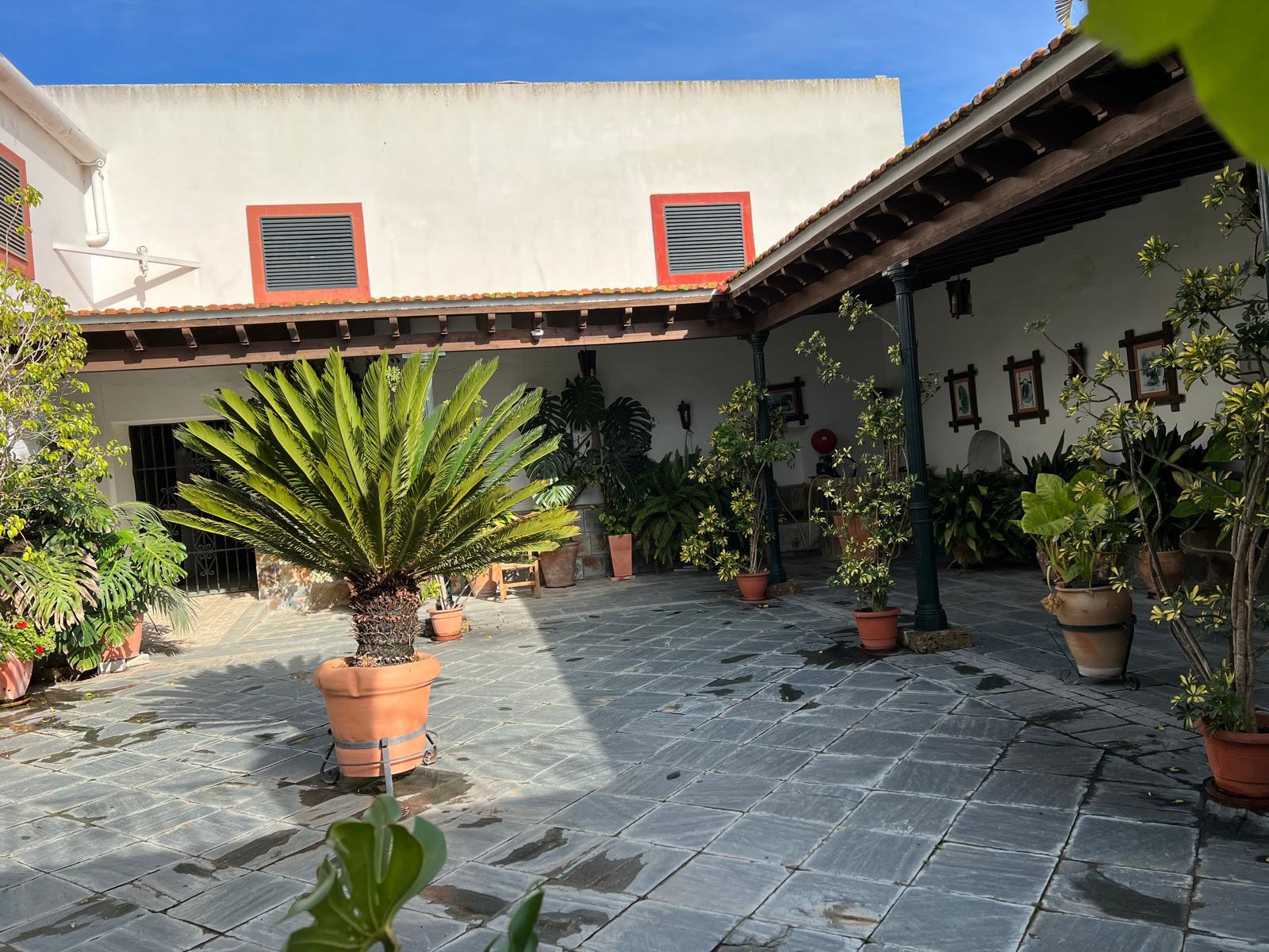 Vineyard Estate in the Sherry Region – Investment Opportunity — photo 4 of 7