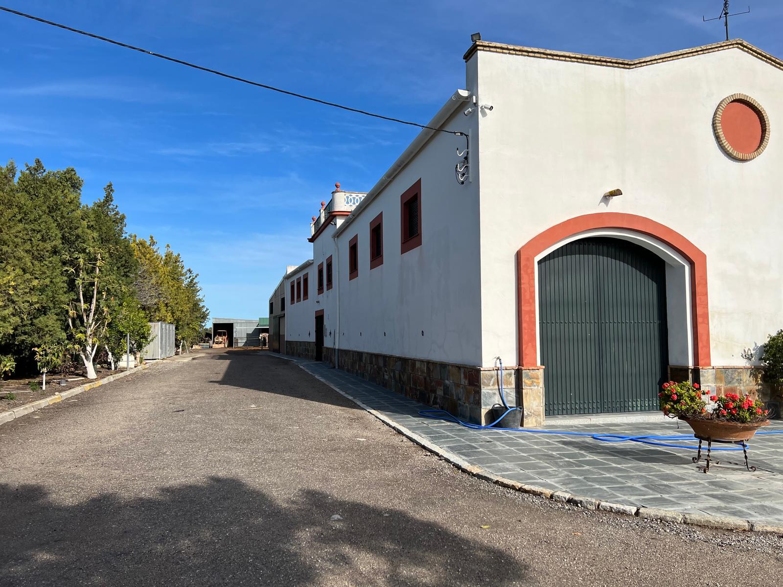 Vineyard Estate in the Sherry Region – Investment Opportunity — Finca in Sanlúcar de Barrameda, Cádiz