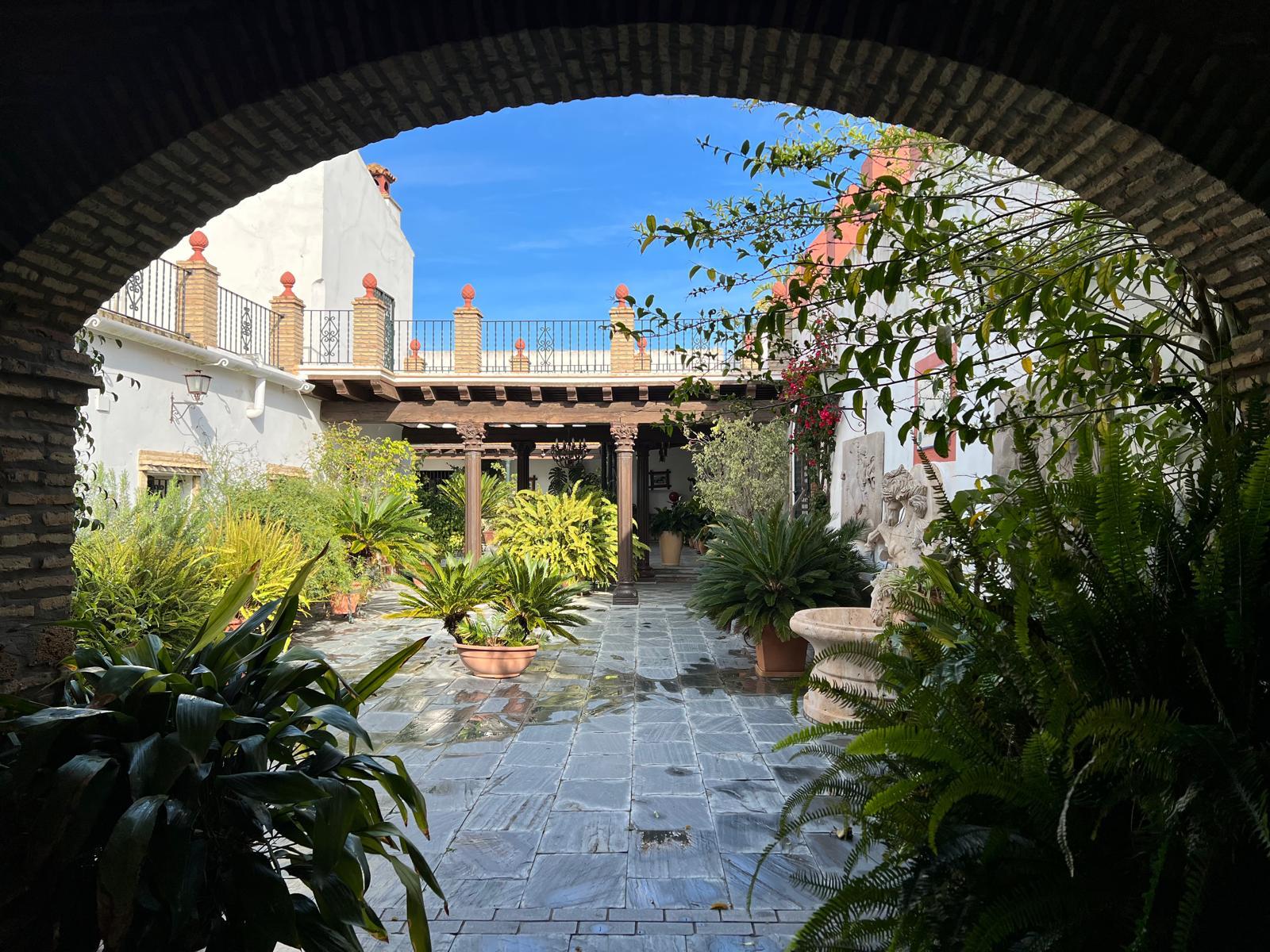 Vineyard Estate in the Sherry Region – Investment Opportunity — photo 6 of 7