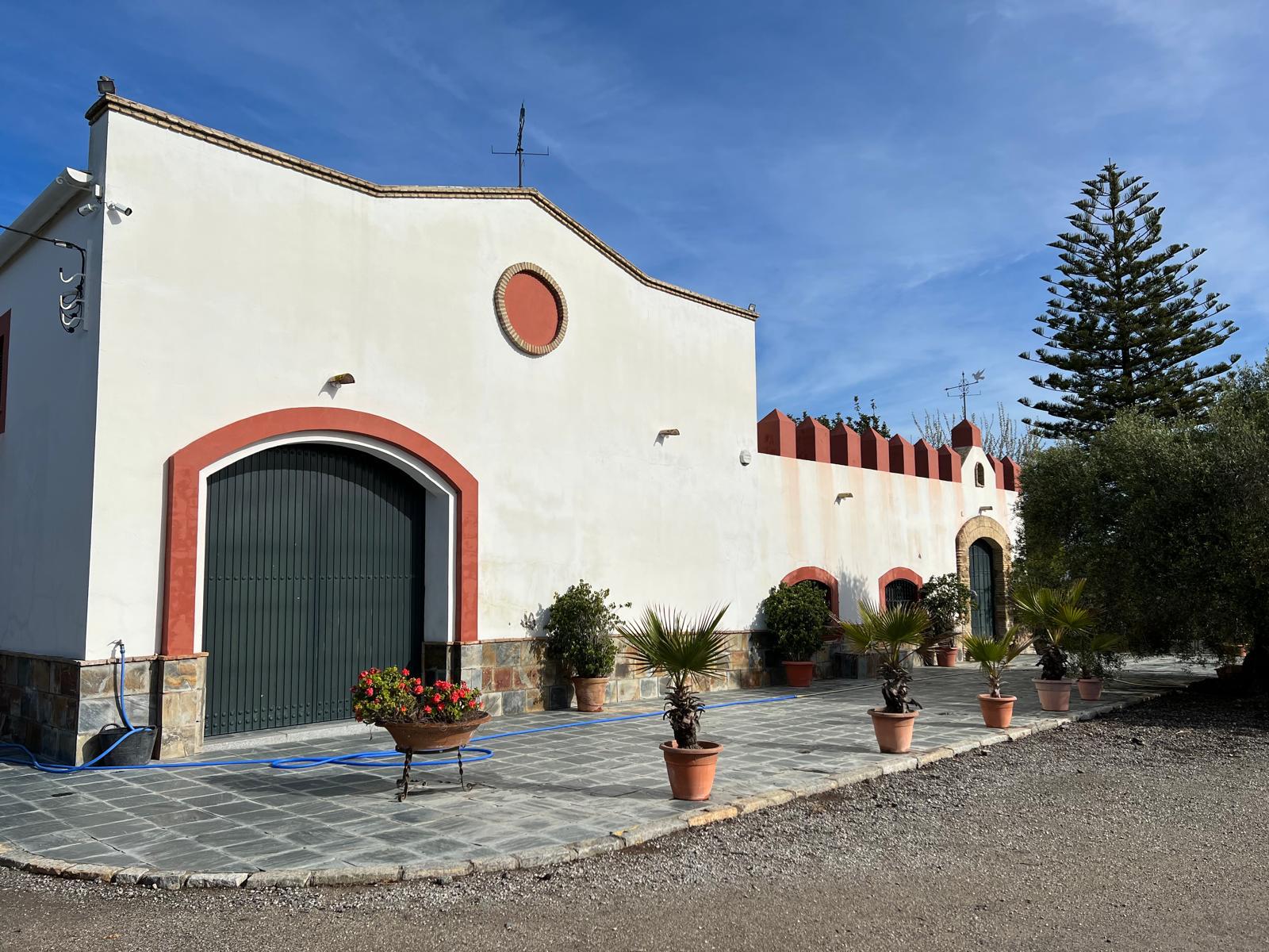 Vineyard Estate in the Sherry Region – Investment Opportunity — photo 3 of 7