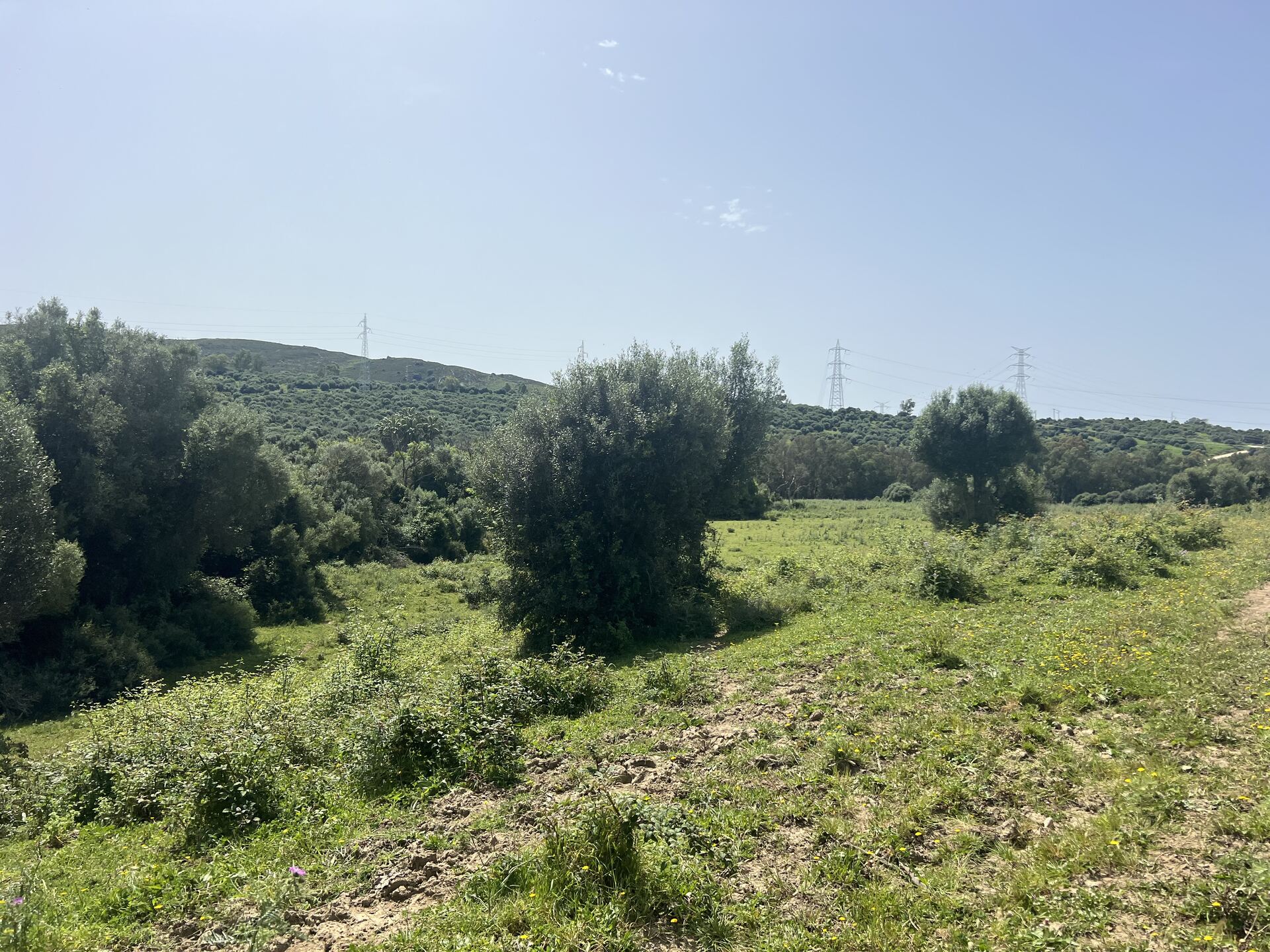 Finca Rústica Singular con Río Permanente y Cortijo Histórico — San Roque, Cádiz — photo 10 of 10