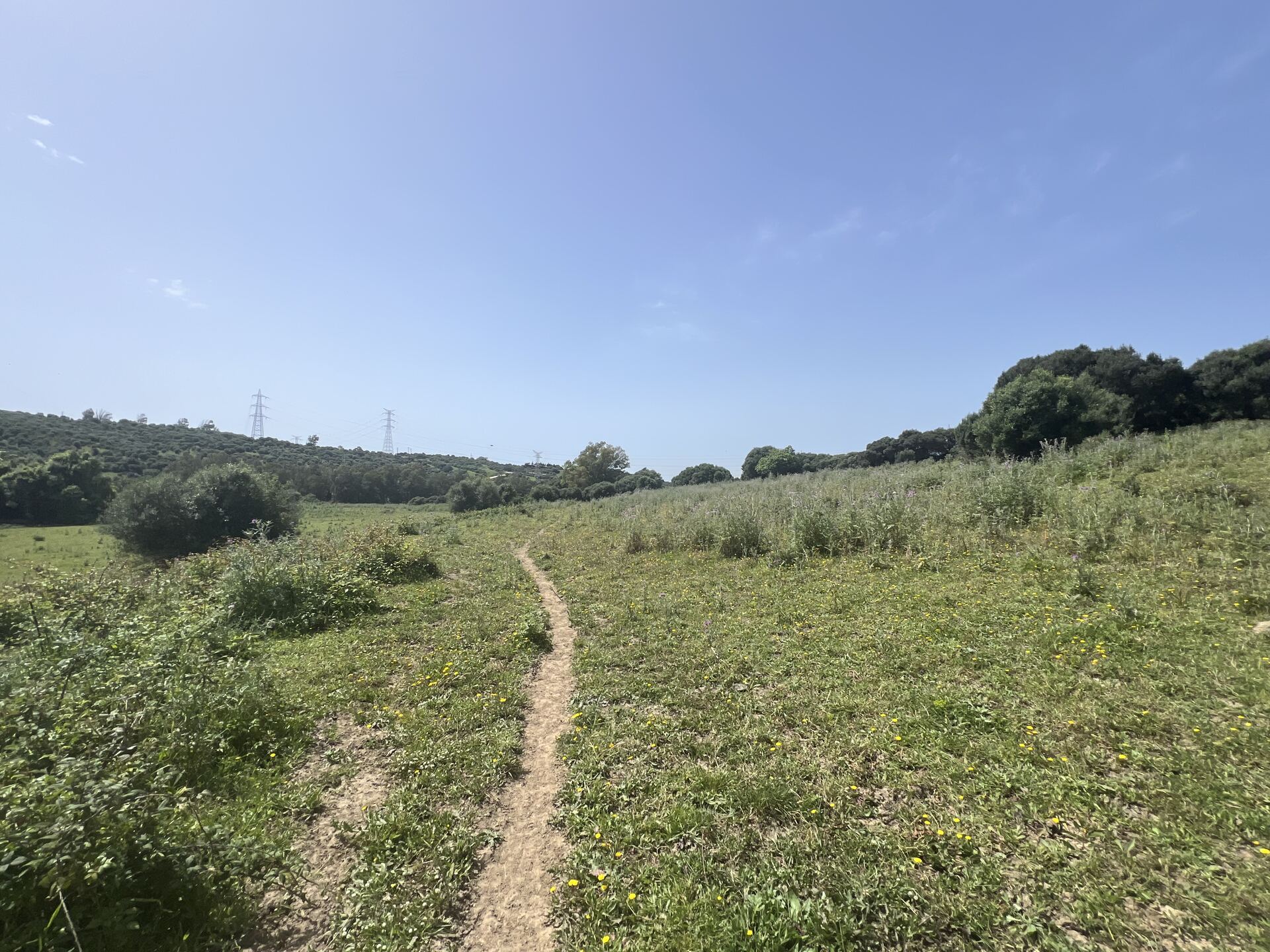 Finca Rústica Singular con Río Permanente y Cortijo Histórico — San Roque, Cádiz — photo 4 of 10