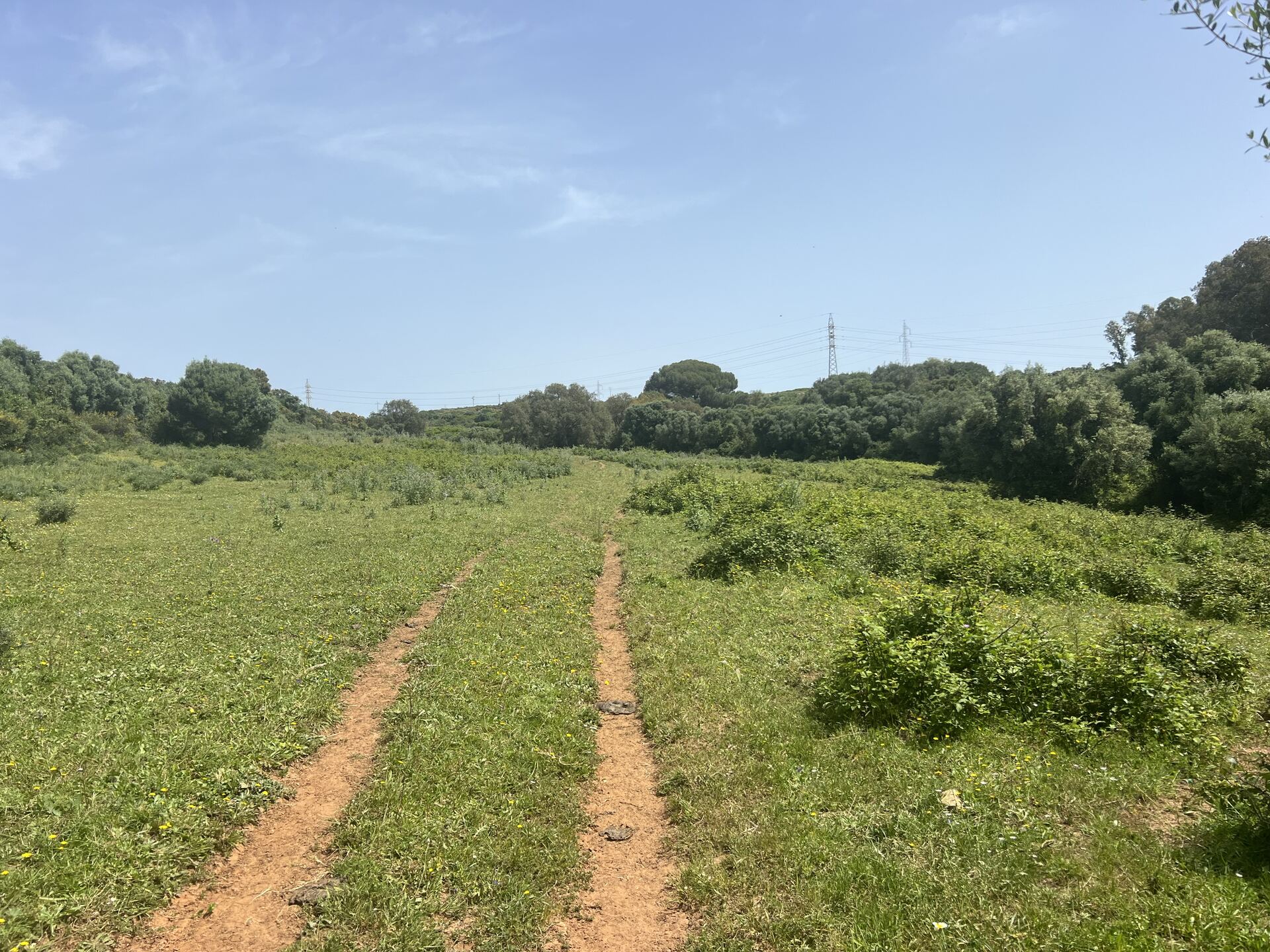 Finca Rústica Singular con Río Permanente y Cortijo Histórico — San Roque, Cádiz — photo 5 of 10