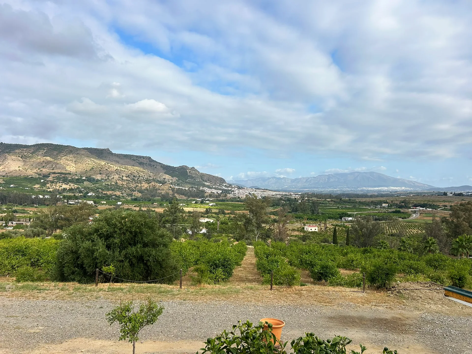 Finca Las Palmeras — Rural Hotel & Wellness Retreat, 25 min from Málaga — photo 21 of 34