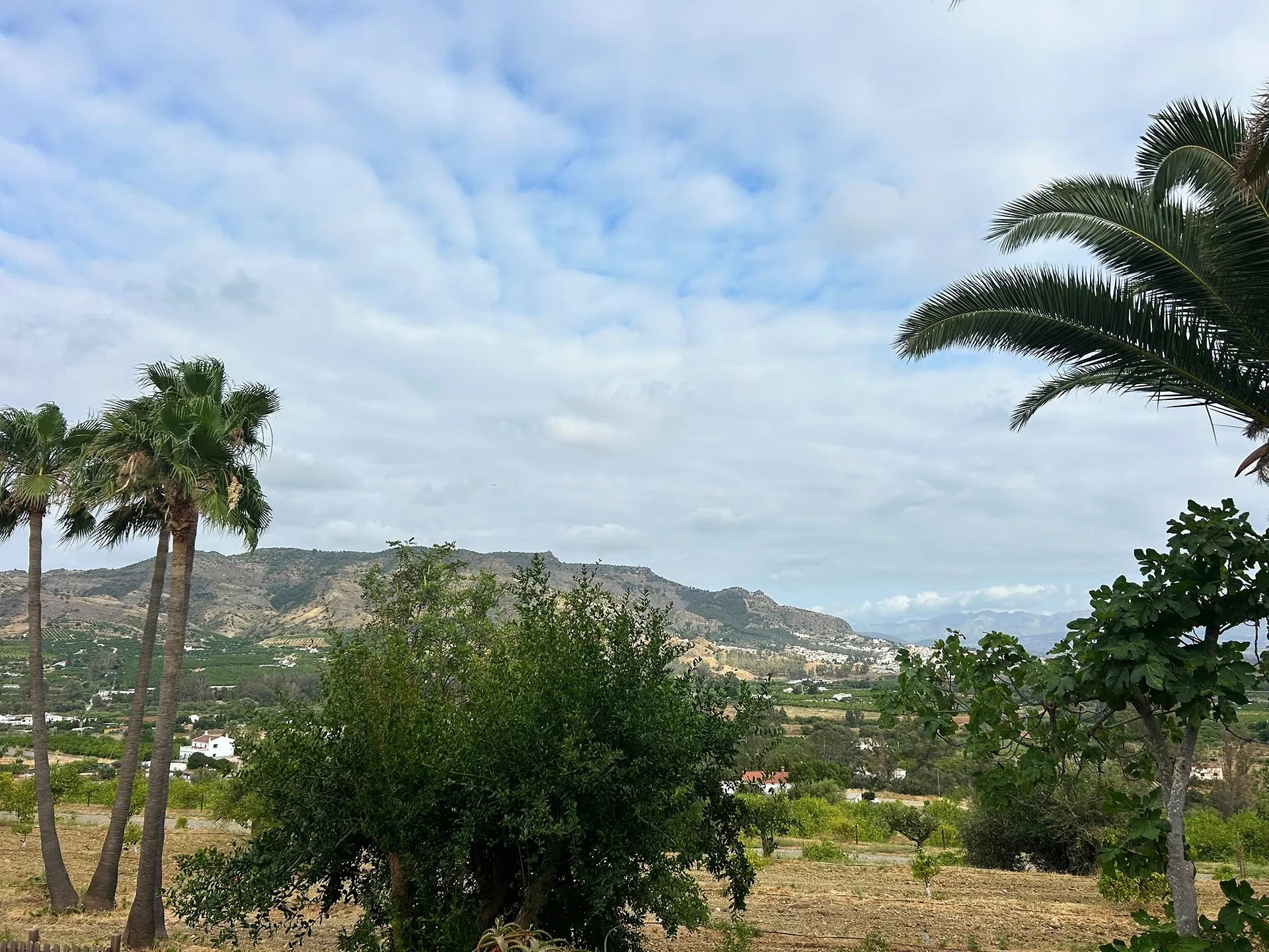 Finca Las Palmeras — Rural Hotel & Wellness Retreat, 25 min from Málaga — photo 18 of 34