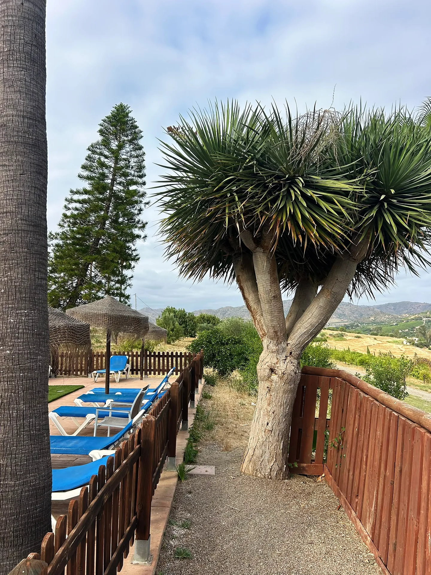 Finca Las Palmeras — Rural Hotel & Wellness Retreat, 25 min from Málaga — photo 7 of 34