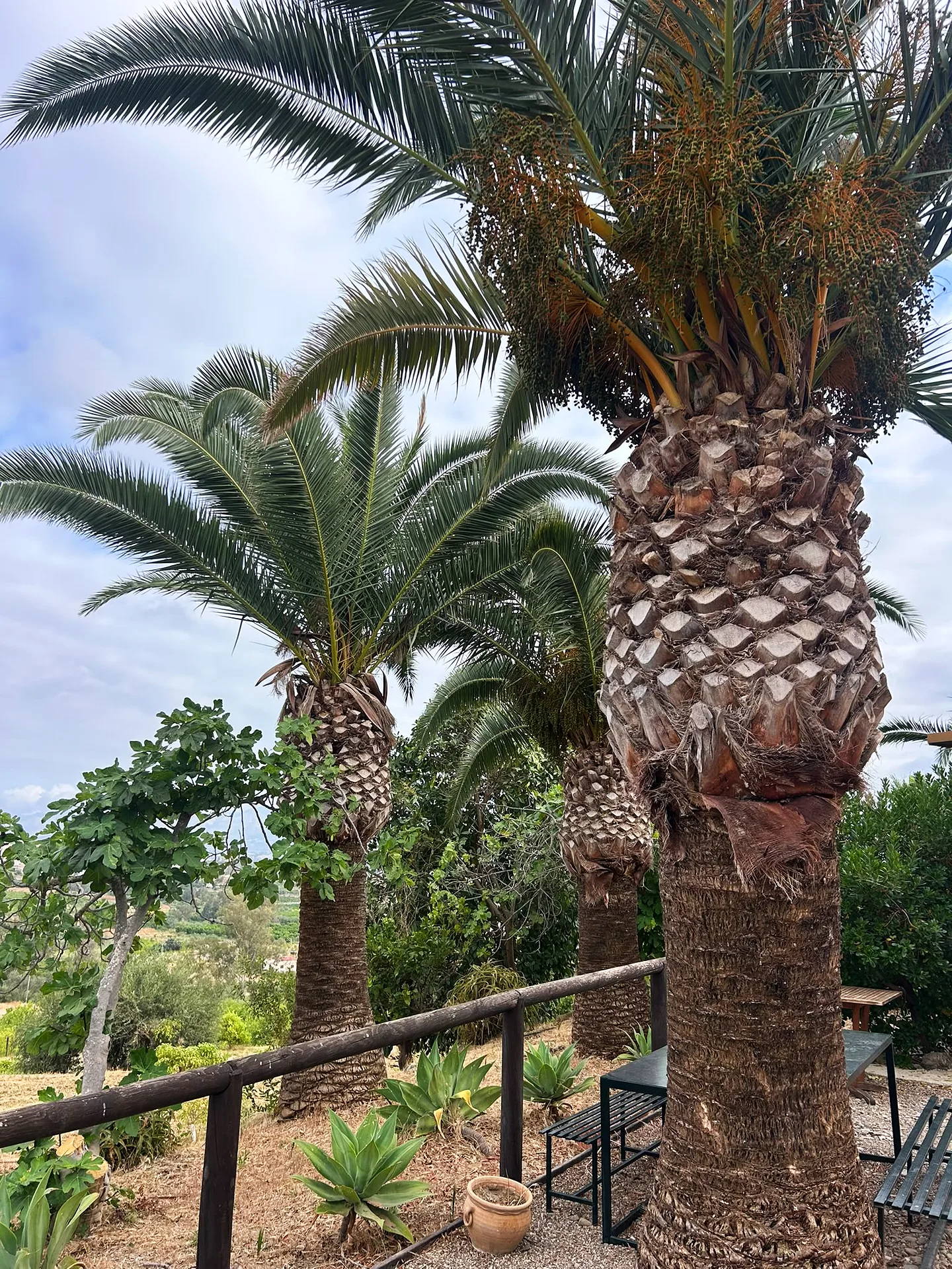 Finca Las Palmeras — Rural Hotel & Wellness Retreat, 25 min from Málaga — photo 19 of 34