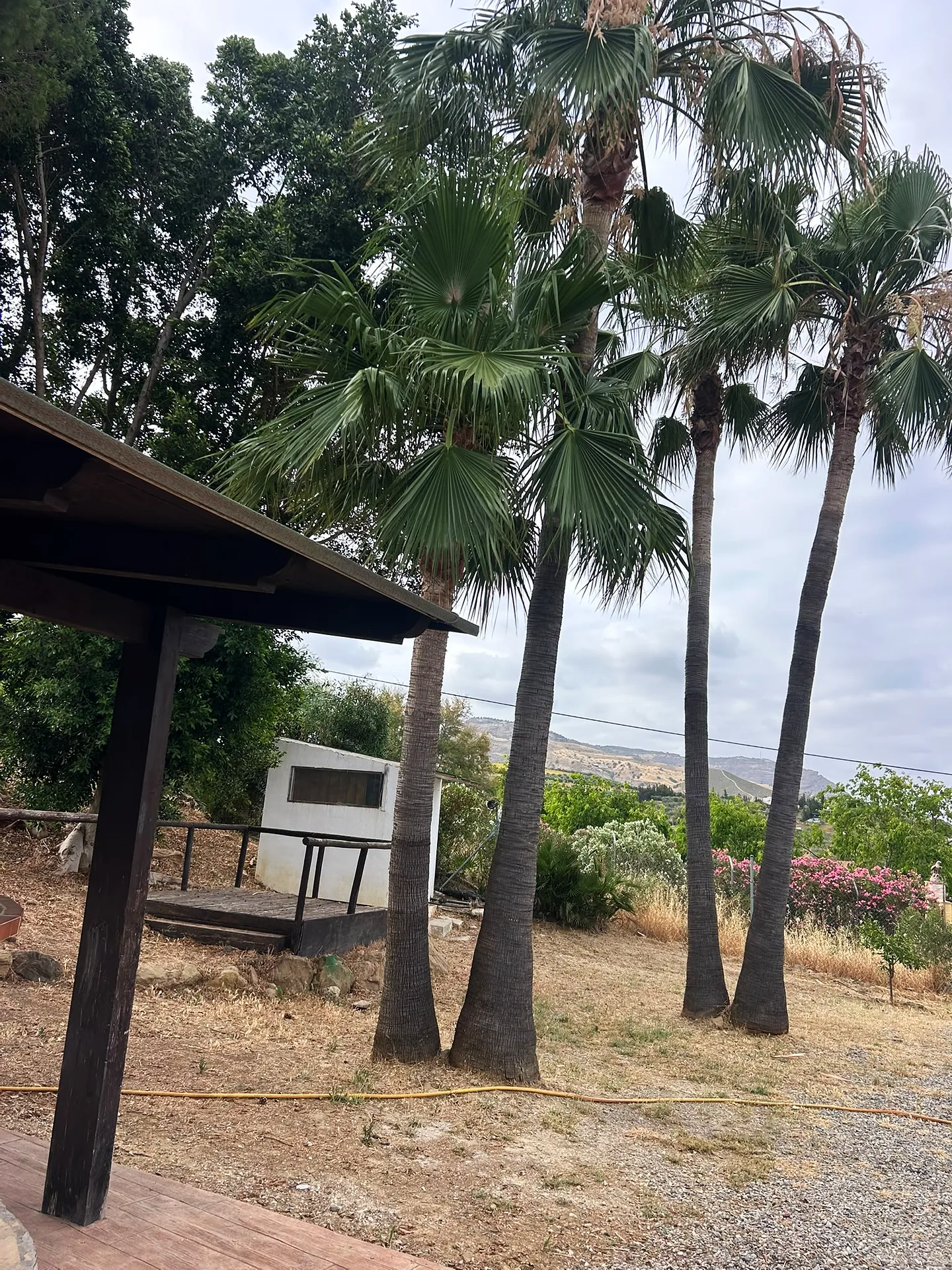 Finca Las Palmeras — Rural Hotel & Wellness Retreat, 25 min from Málaga — photo 12 of 34