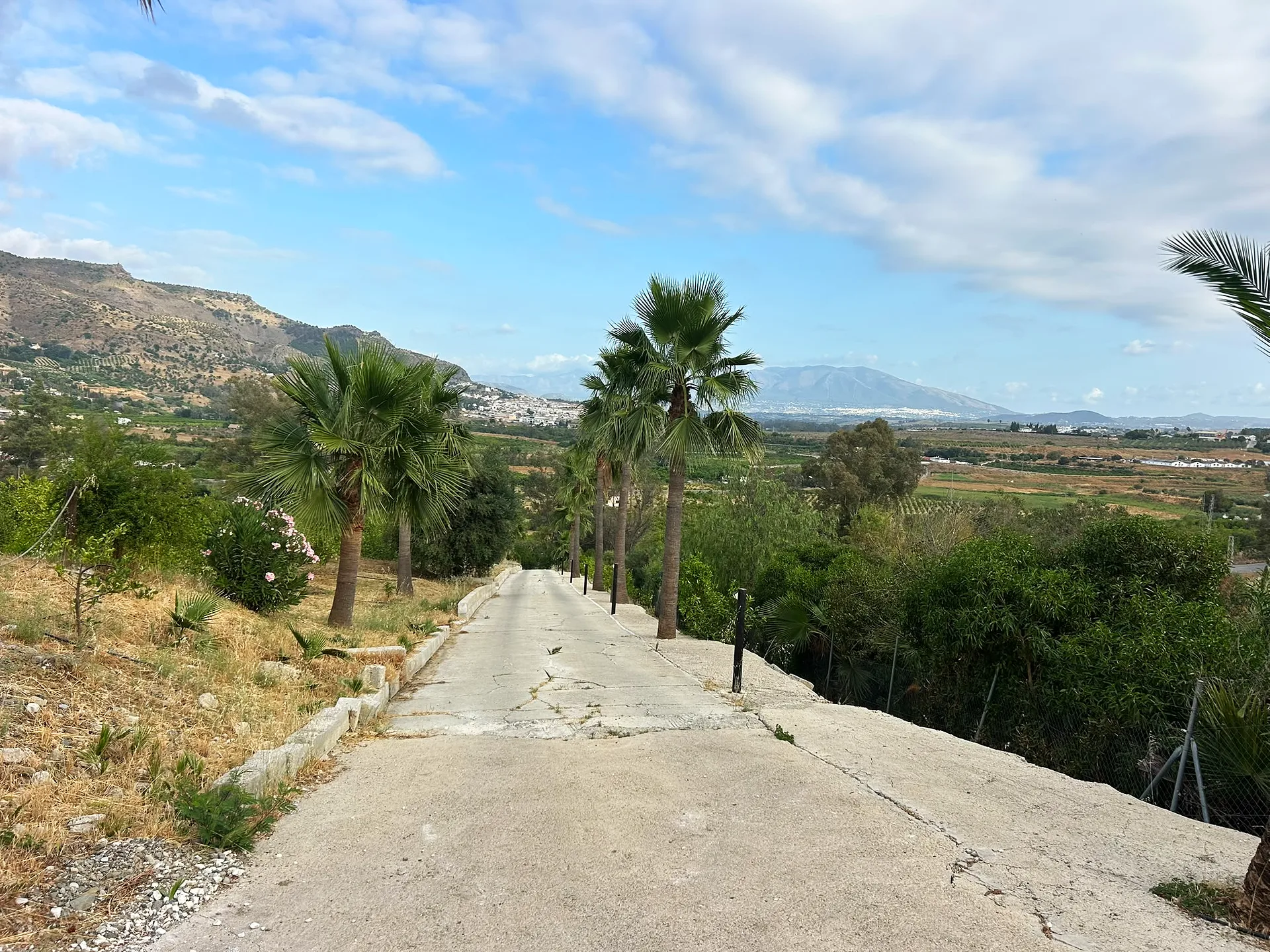 Finca Las Palmeras — Rural Hotel & Wellness Retreat, 25 min from Málaga — photo 14 of 34