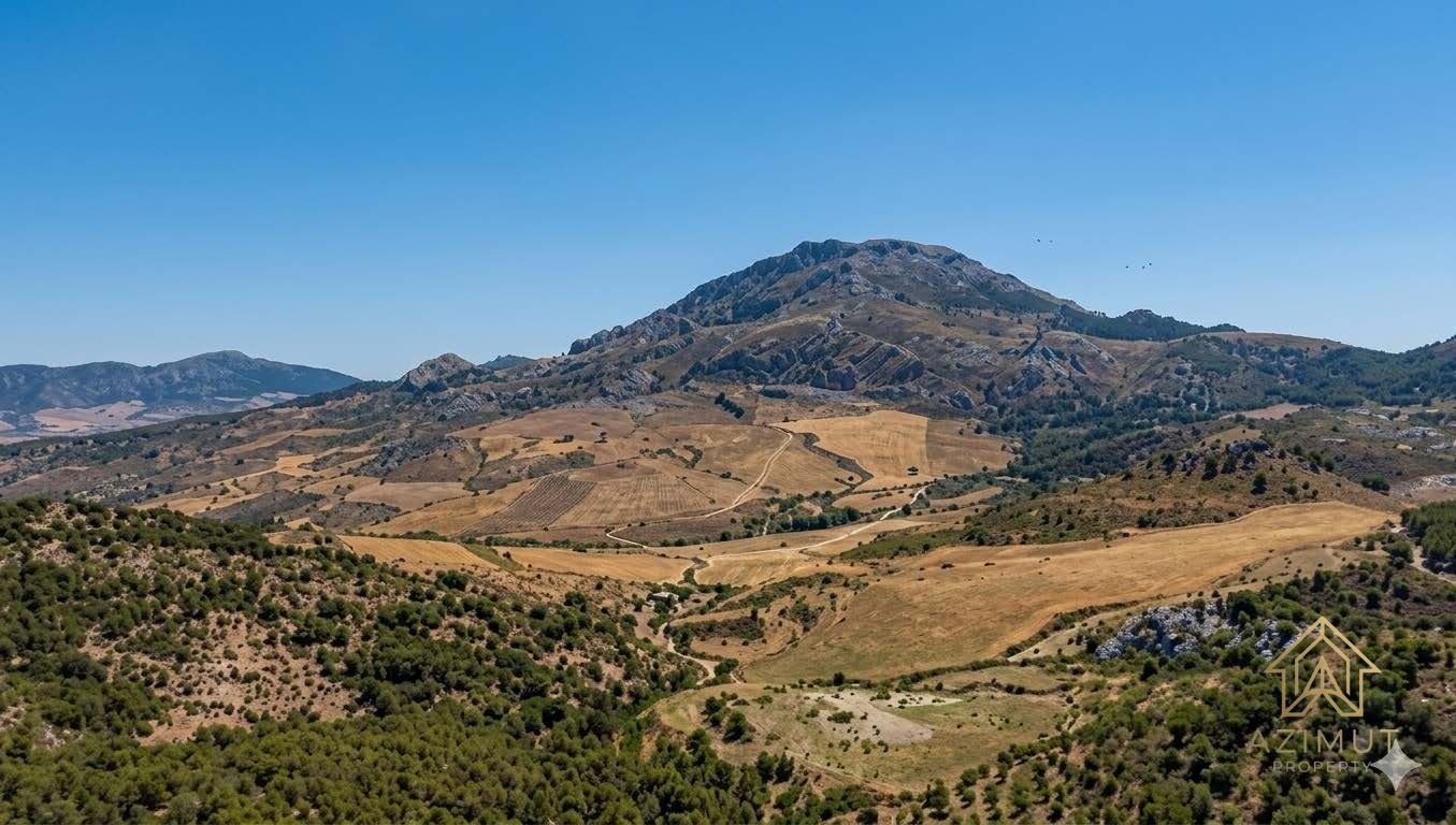 Equestrian Cortijo Estate for Sale Near Ronda — 161 Hectares in the Sierra de las Nieves — photo 2 of 7