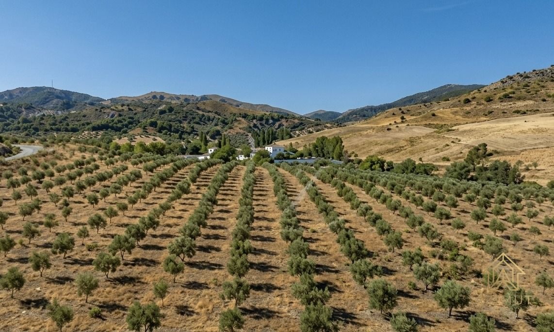 Equestrian Cortijo Estate for Sale Near Ronda — 161 Hectares in the Sierra de las Nieves — photo 3 of 7