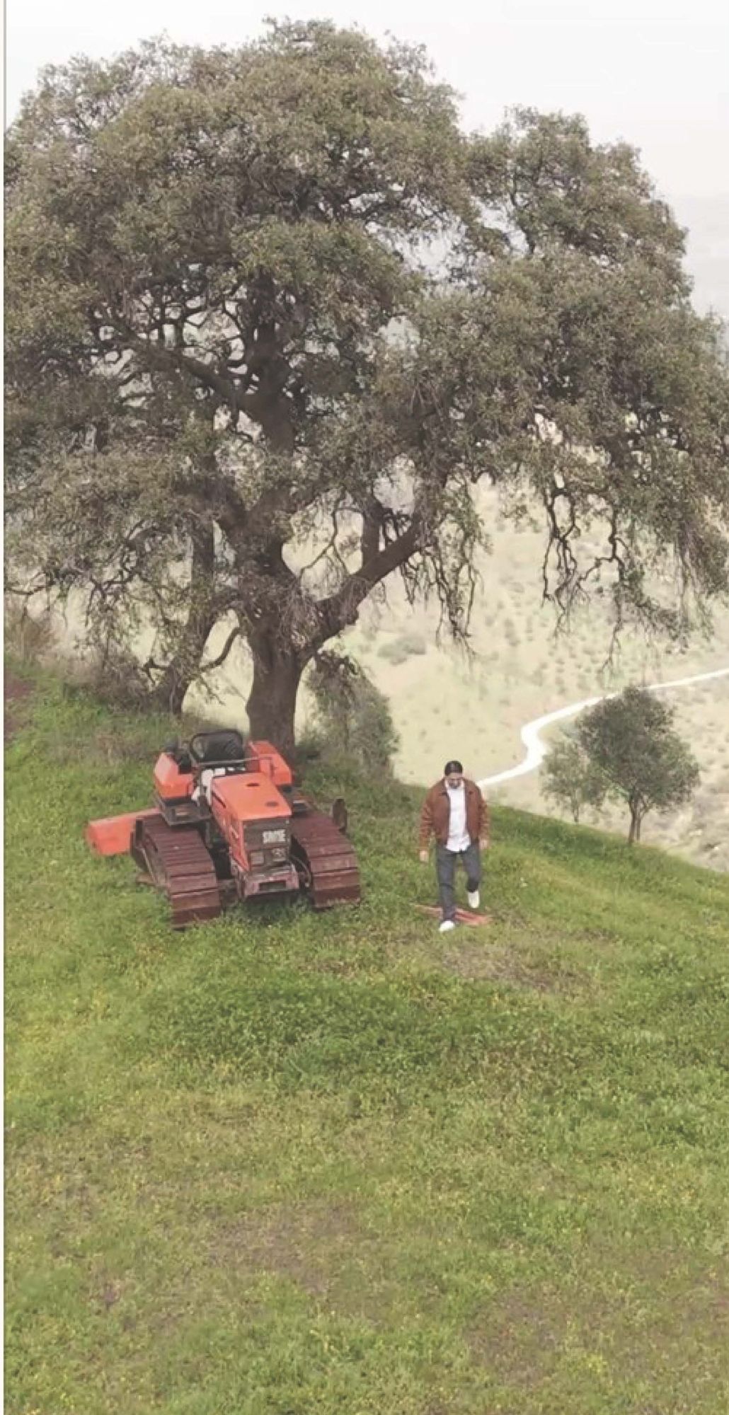 Molino del Hortelano — Historic Olive Estate with 18th-Century Mill, Málaga — photo 5 of 6