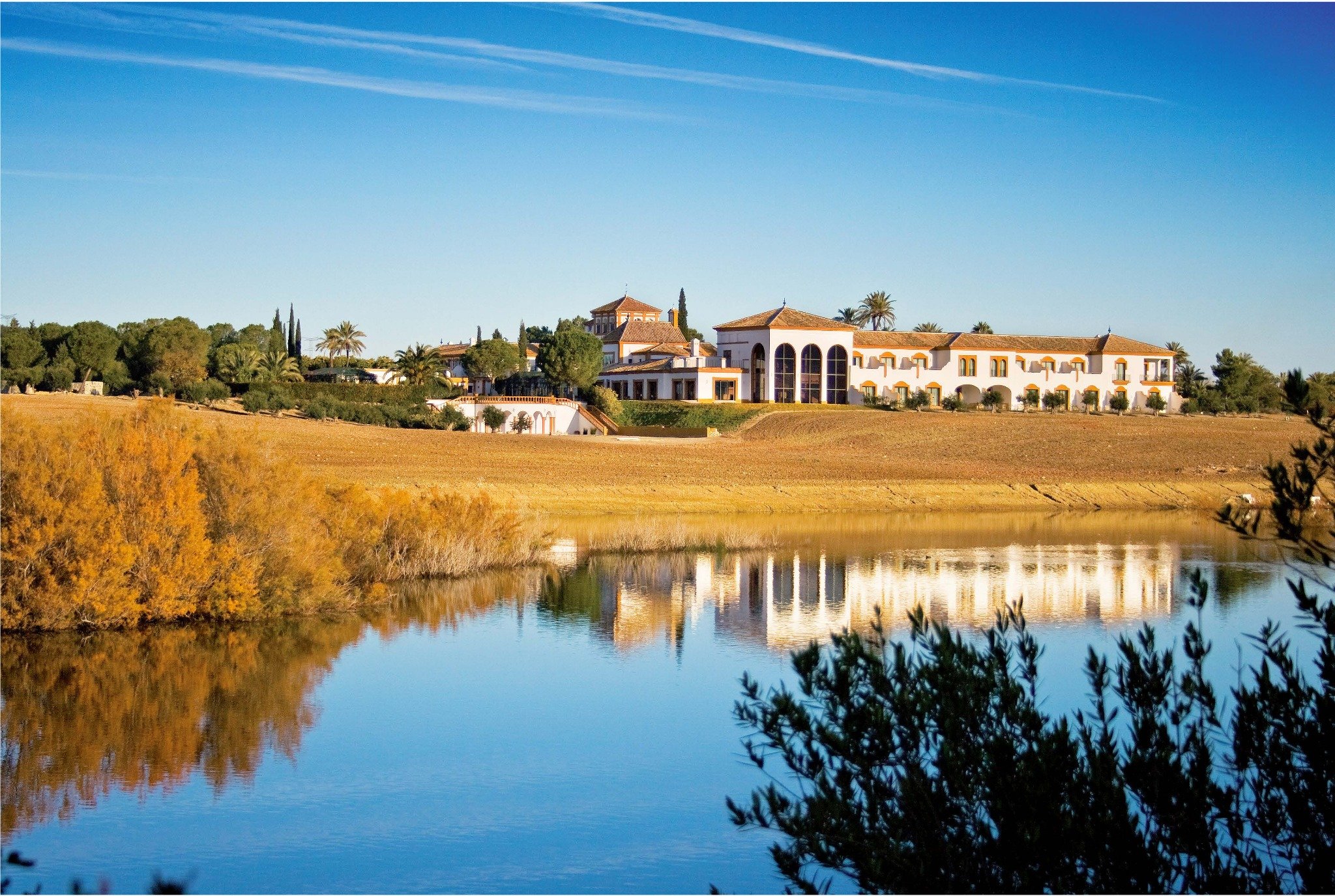 EXCEPTIONAL ANDALUSIAN ESTATE NEAR SEVILLA — photo 2 of 20