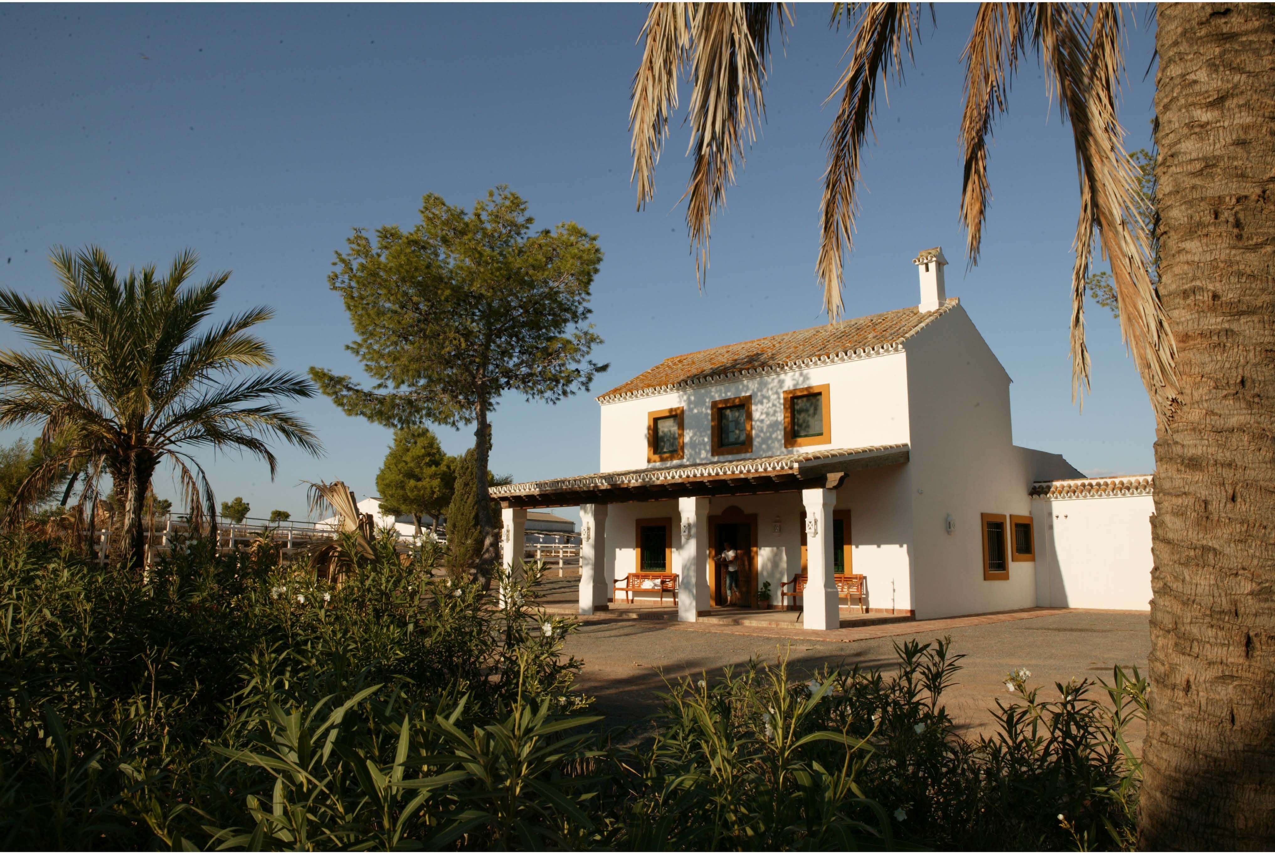 EXCEPTIONAL ANDALUSIAN ESTATE NEAR SEVILLA — photo 7 of 20