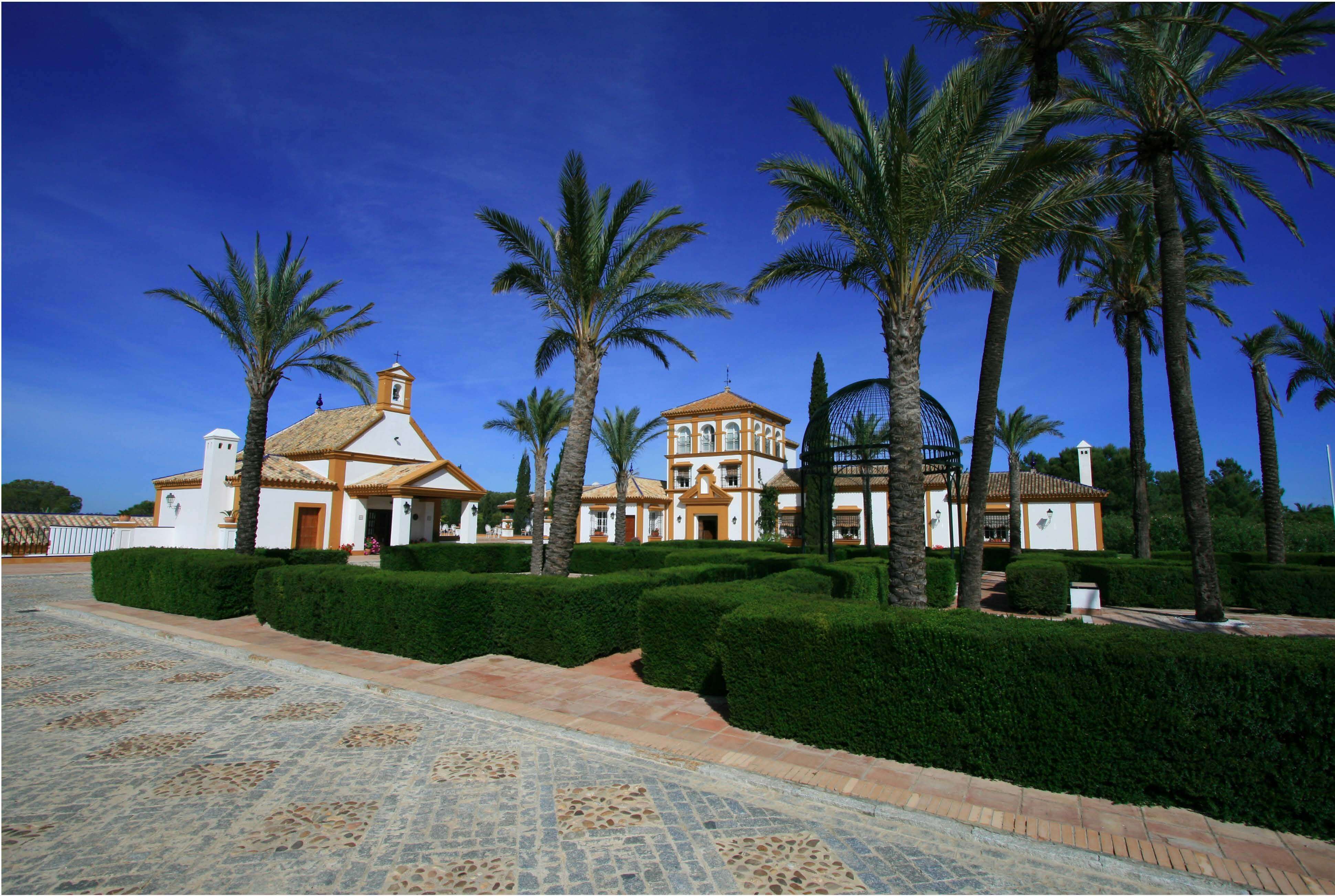 EXCEPTIONAL ANDALUSIAN ESTATE NEAR SEVILLA — photo 5 of 20