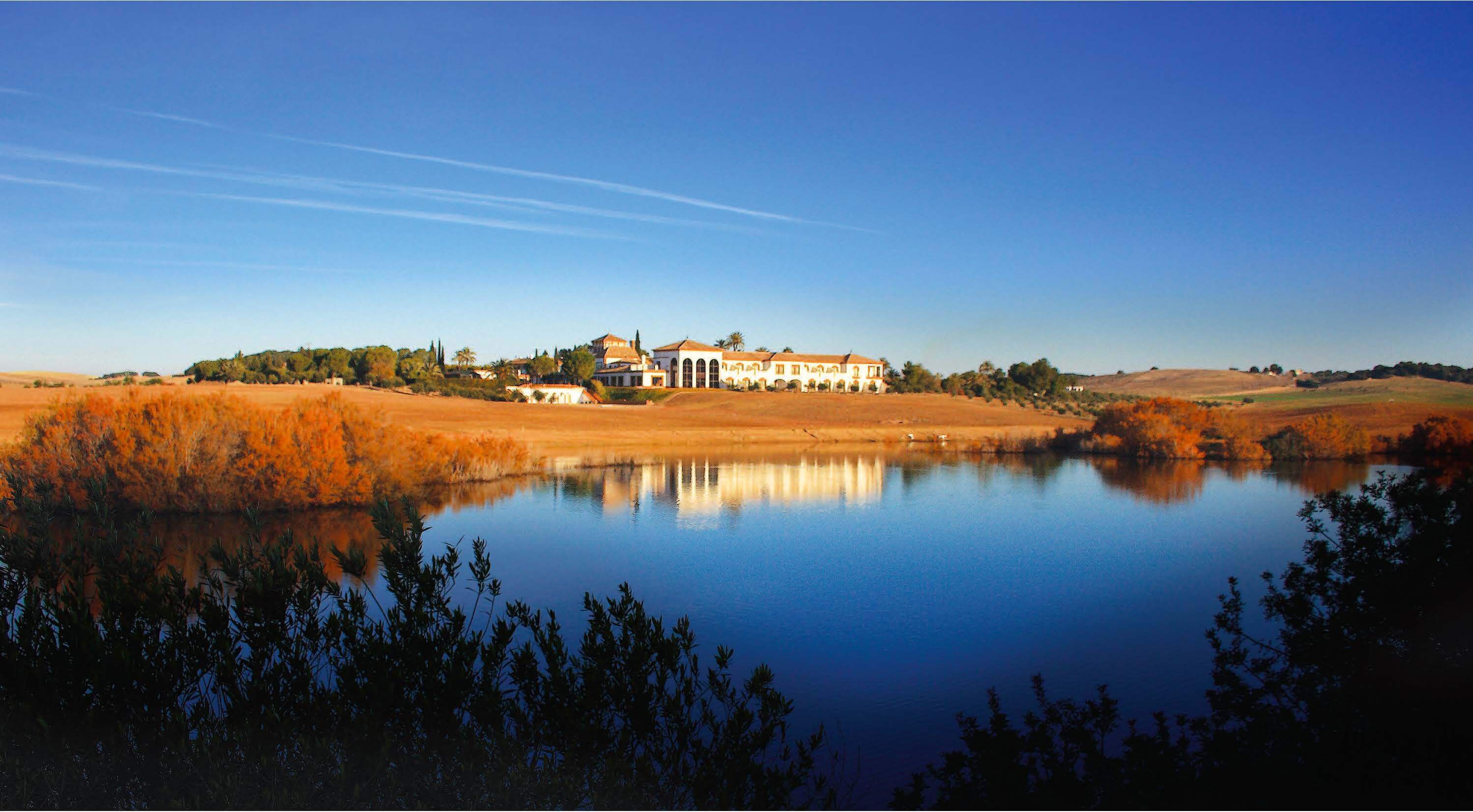 EXCEPTIONAL ANDALUSIAN ESTATE NEAR SEVILLA — photo 20 of 20