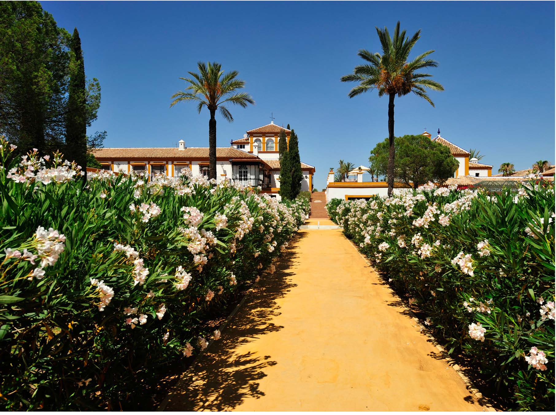 EXCEPTIONAL ANDALUSIAN ESTATE NEAR SEVILLA — photo 8 of 20